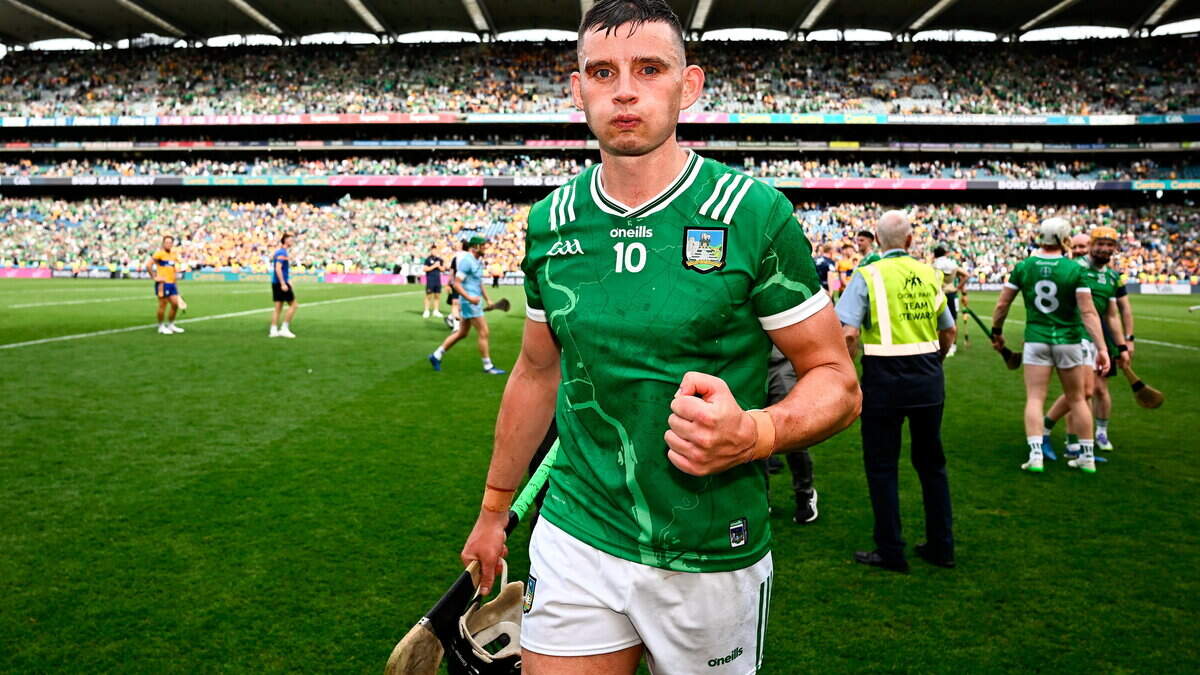 Clare and Limerick player ratings — Gearóid Hegarty the leading light for Treaty