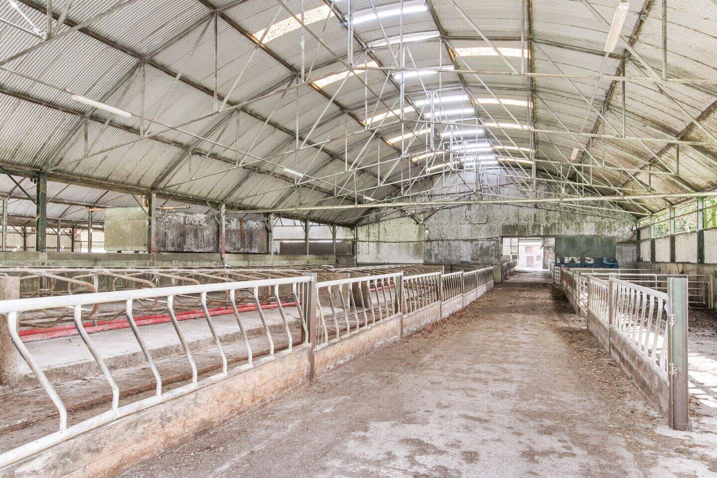 From cattle king to tech millionaire: Skidoo Farm hits the market for € ...