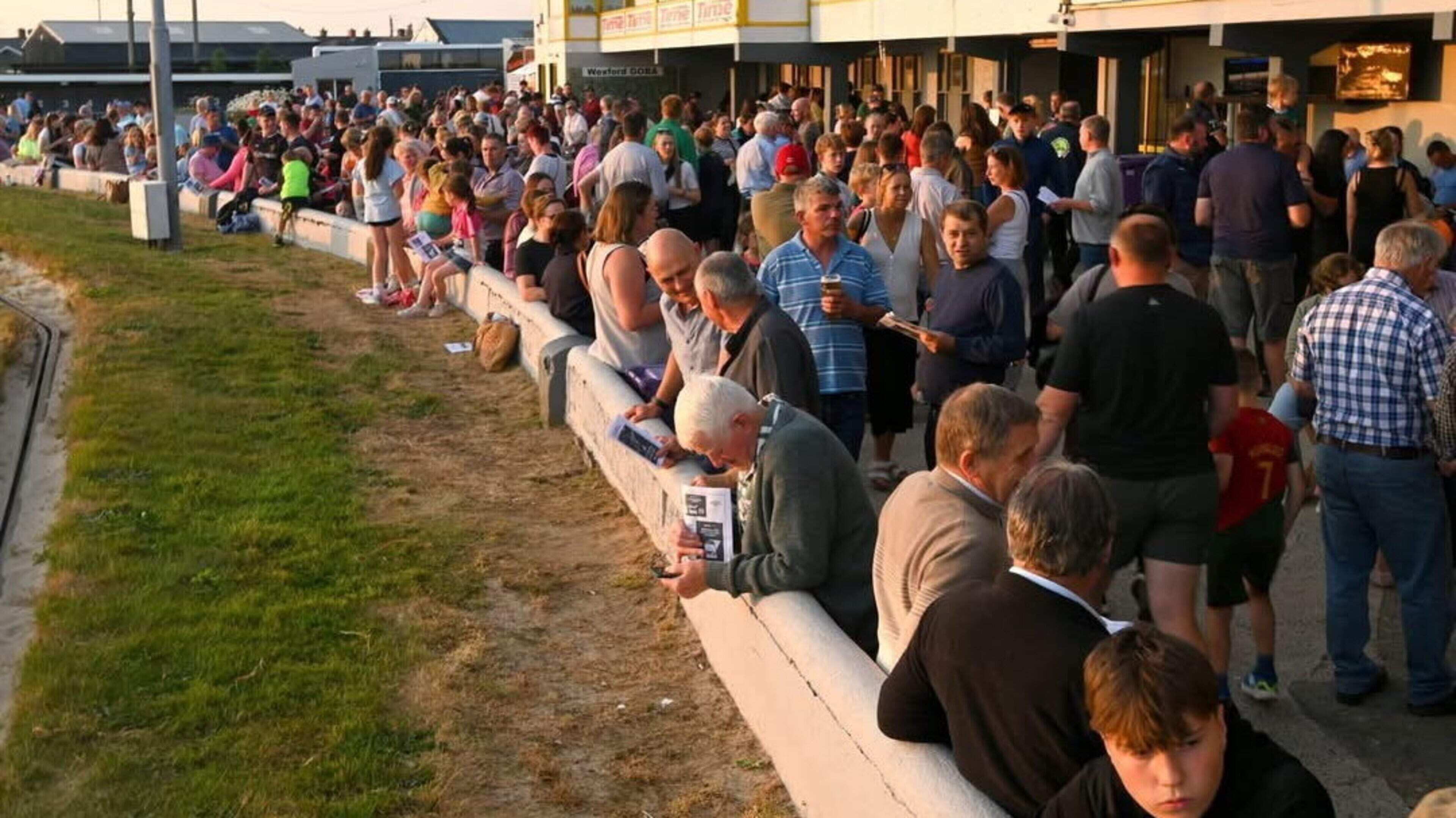 Wexford greyhound track to erect memorial wall marking 93 year history
