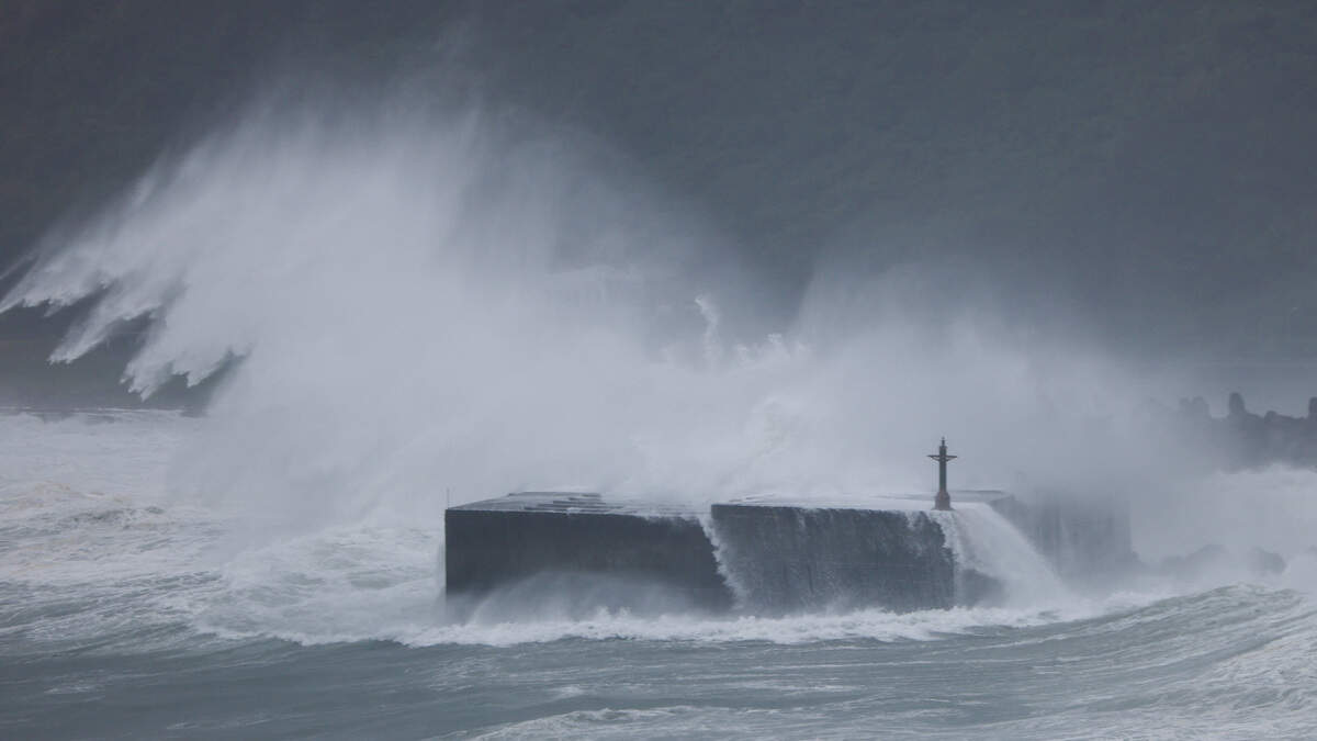 Taiwan shuts down ahead of Typhoon Champi, nearly 1,000 flights cancelled