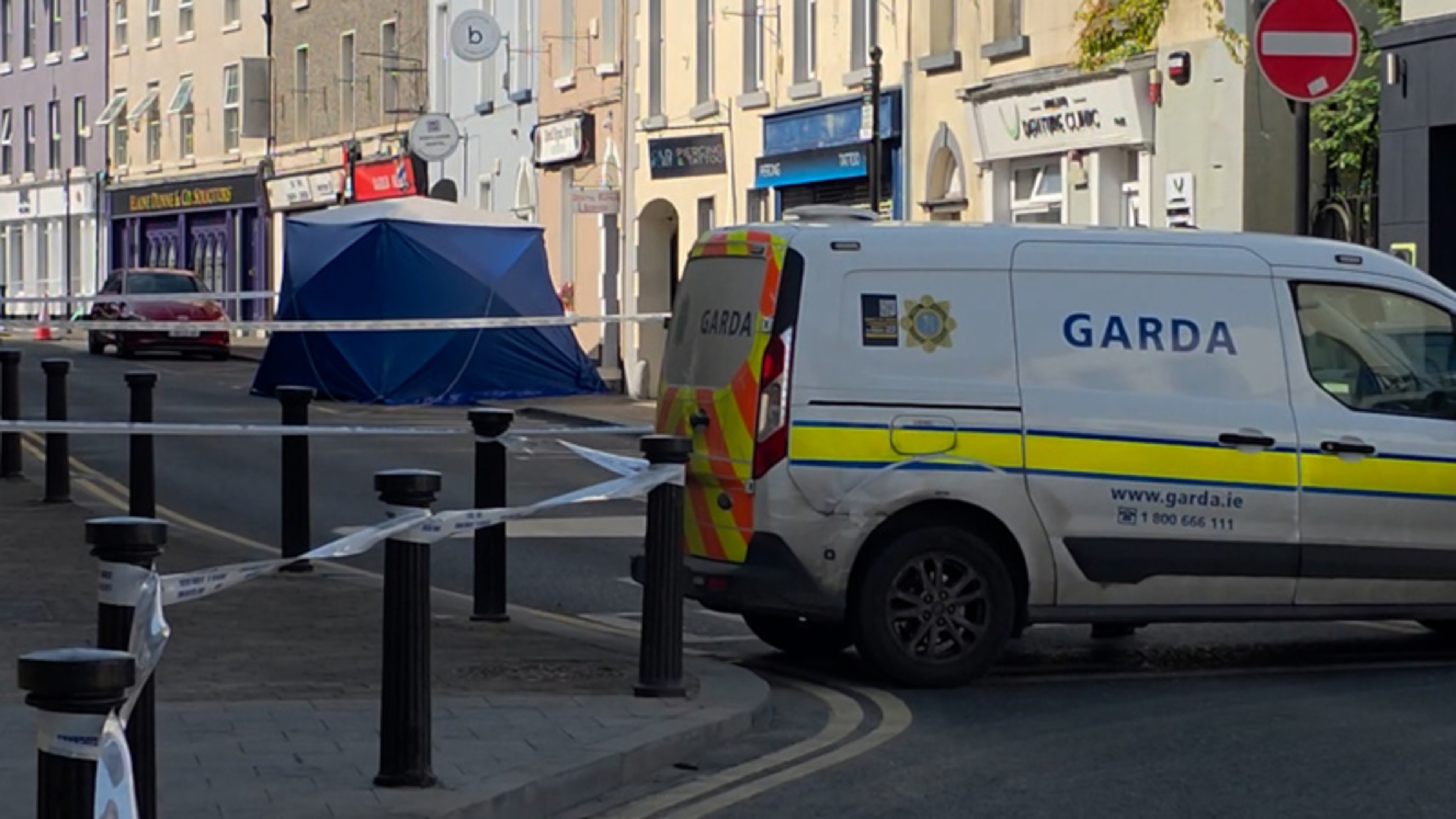Pensioner's panicked phone call saying he had caused harm to a woman in Laois, who was later found in shower with fatal stab wounds