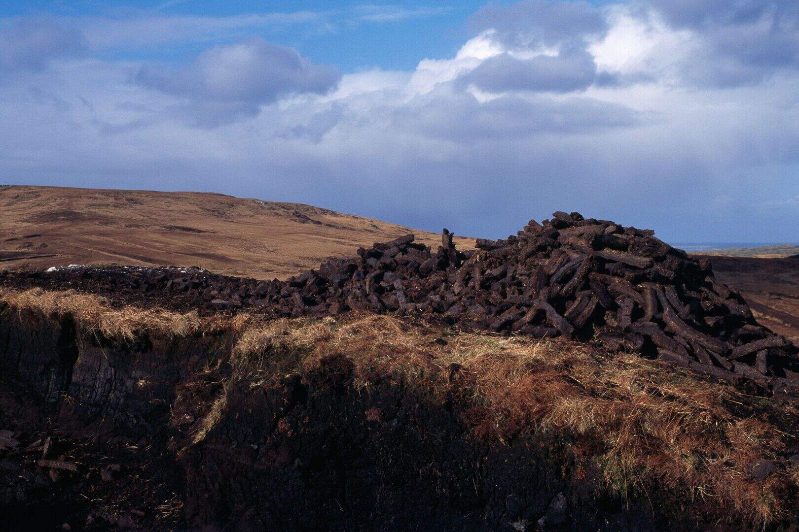 Liam Gorman and Bord na Móna accuse each other of trespass on land they ...