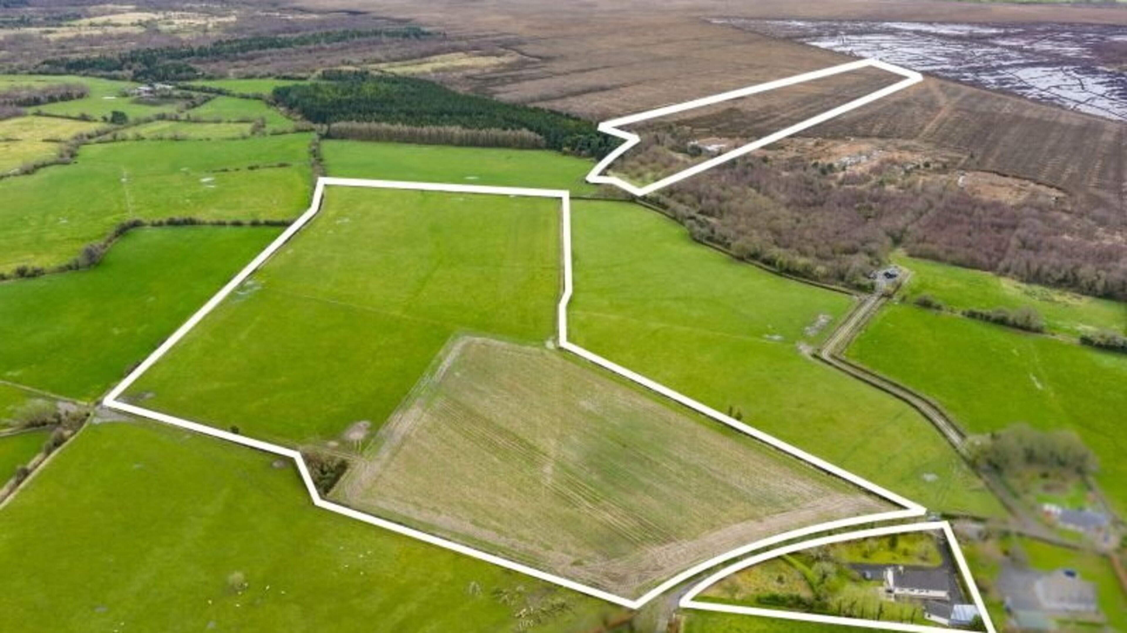 Rare opportunity to buy Kildare land as 44ac residential farm hits market with €750,000 guide