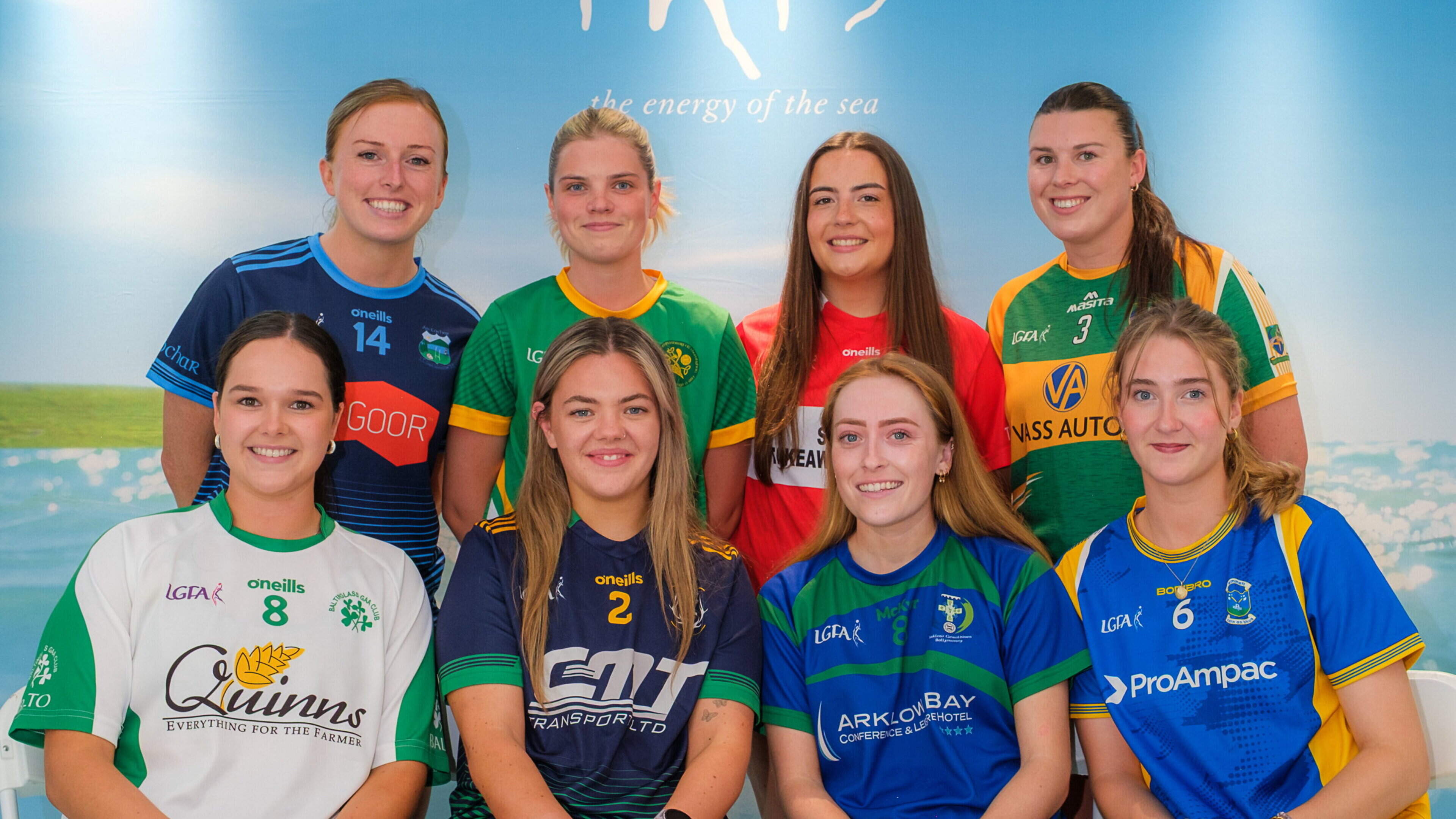 Baltinglass expected to make up for last year’s disappointment and push for Wicklow Intermediate crown
