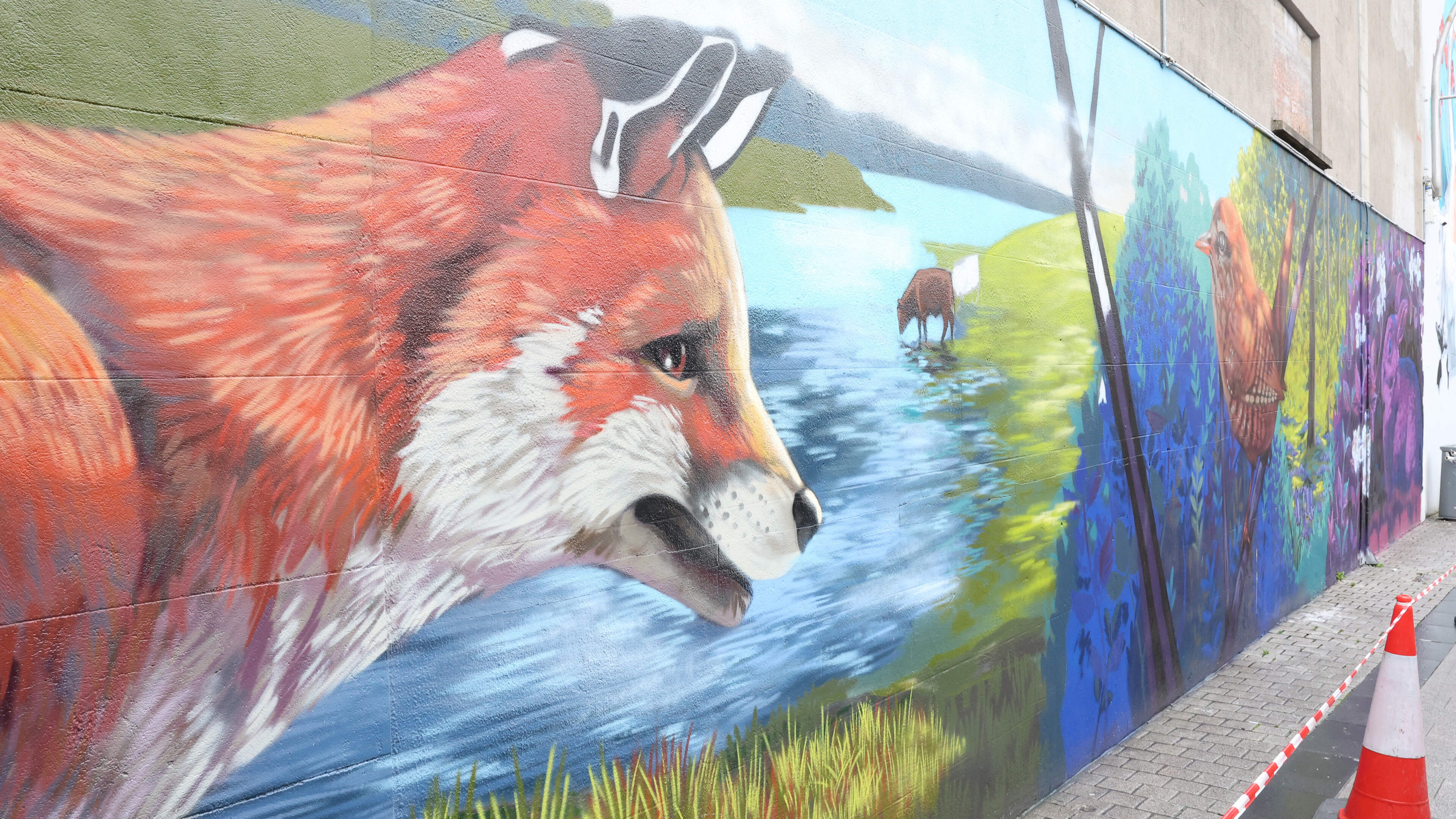 Stunning new mural transforms Meatmarket Lane into celebration of Boyne Valley wildlife