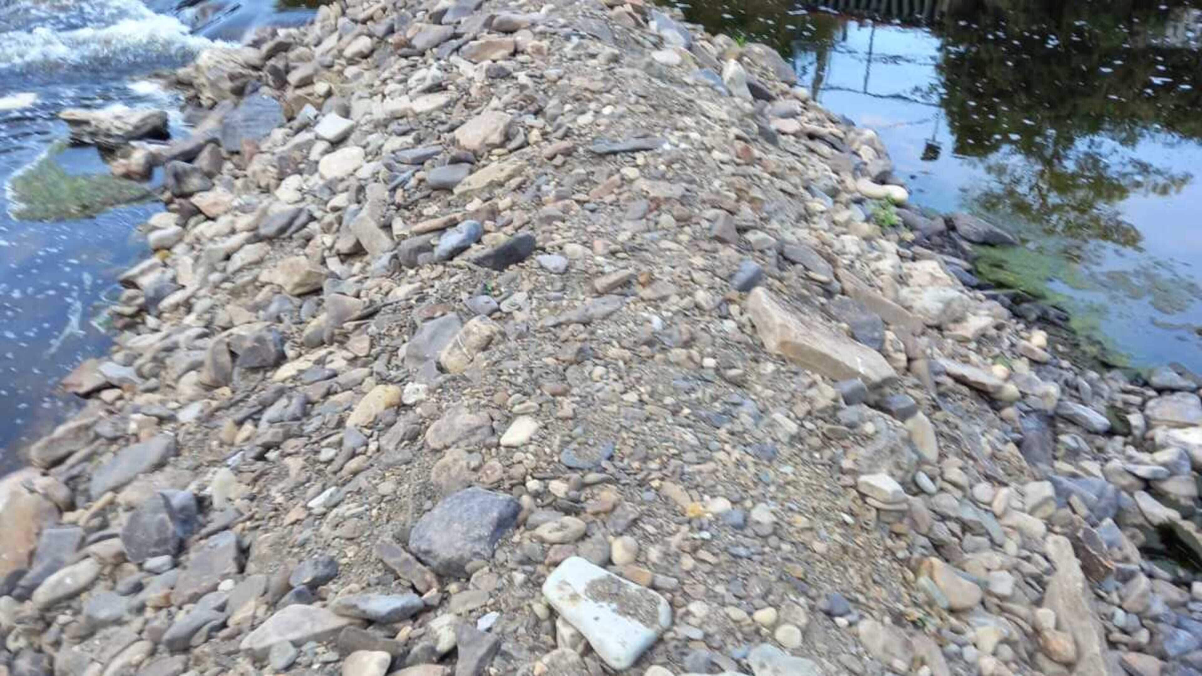 Kerry and Limerick anglers fear newly-built barrier on River Feale could seriously impact fish
