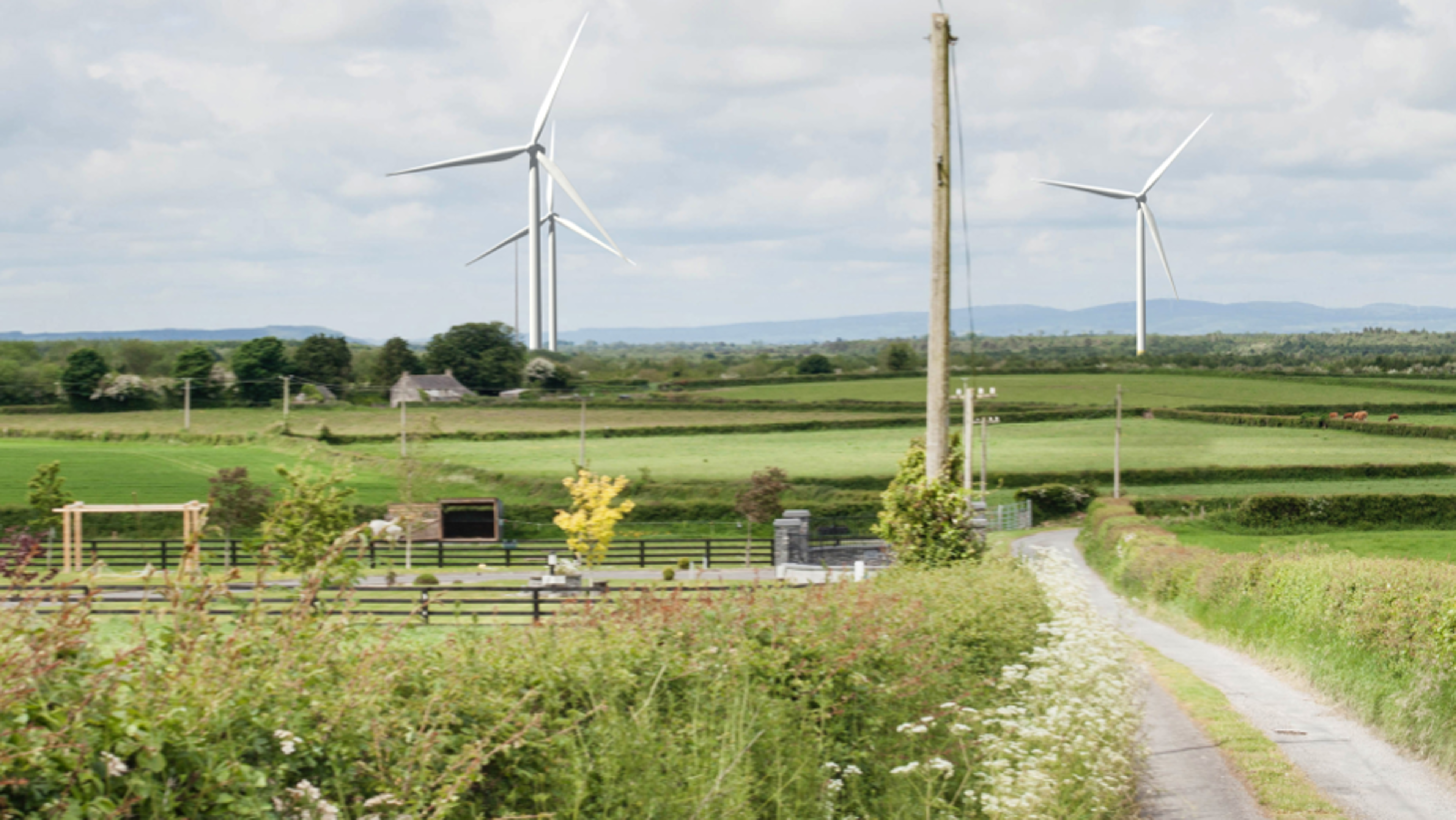 Plans lodged for 11-turbine wind farm on former Tipperary bog