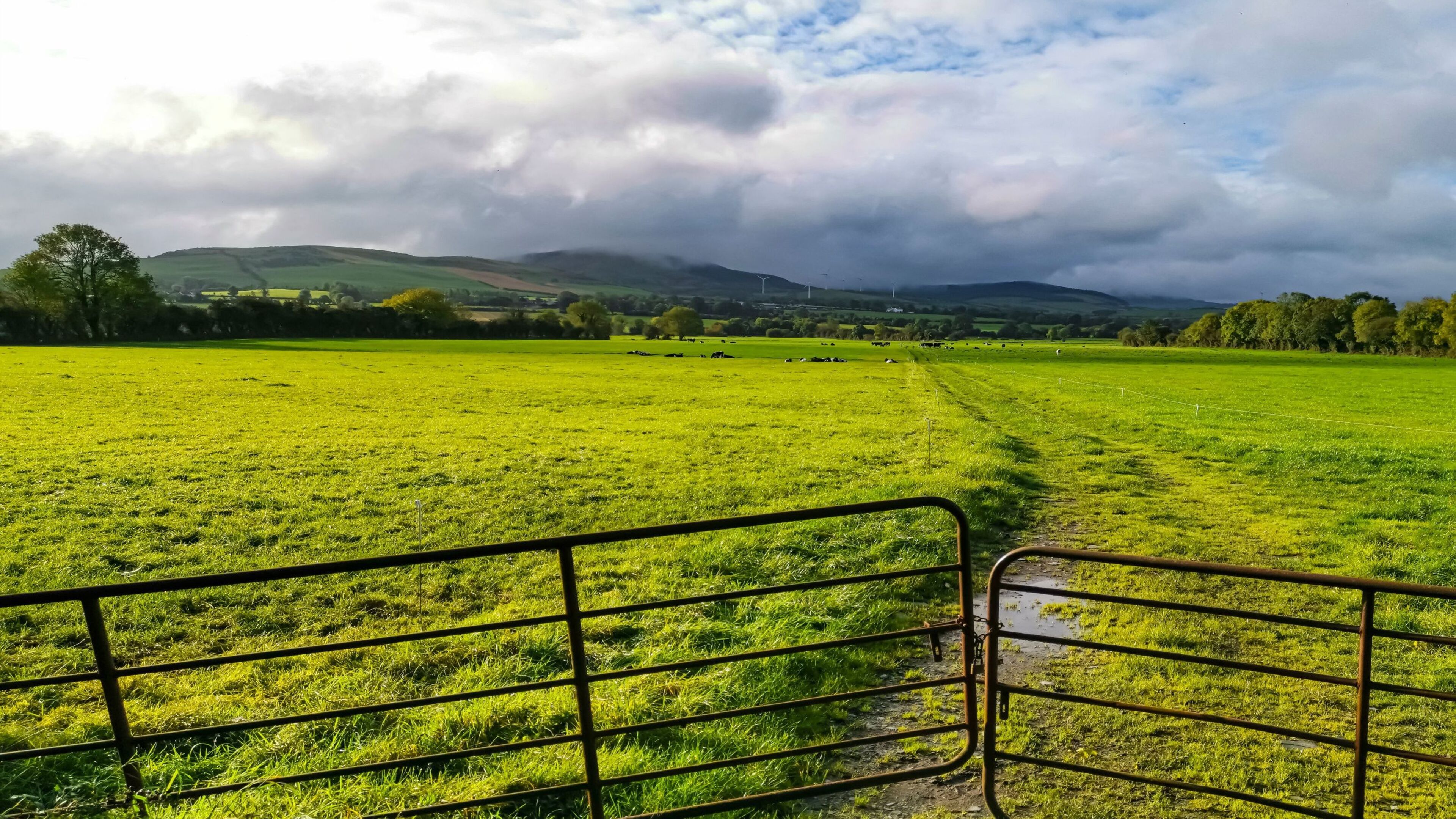Man claims he was wrongly disinherited from €3m farm when priest uncle returned from US after ‘alcoholism and improper behaviour with young men’