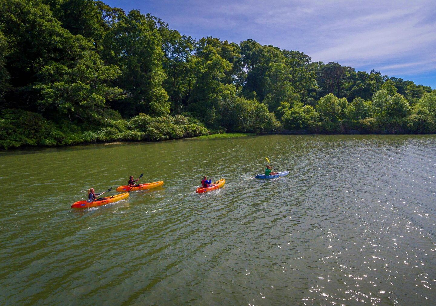 10 alternatives to Center Parcs in Ireland – from cabin stays to hotels ...