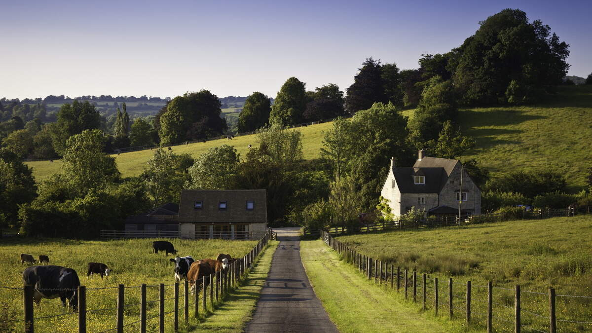 Young farmers can pay double for rented land versus older farmers, EU study finds