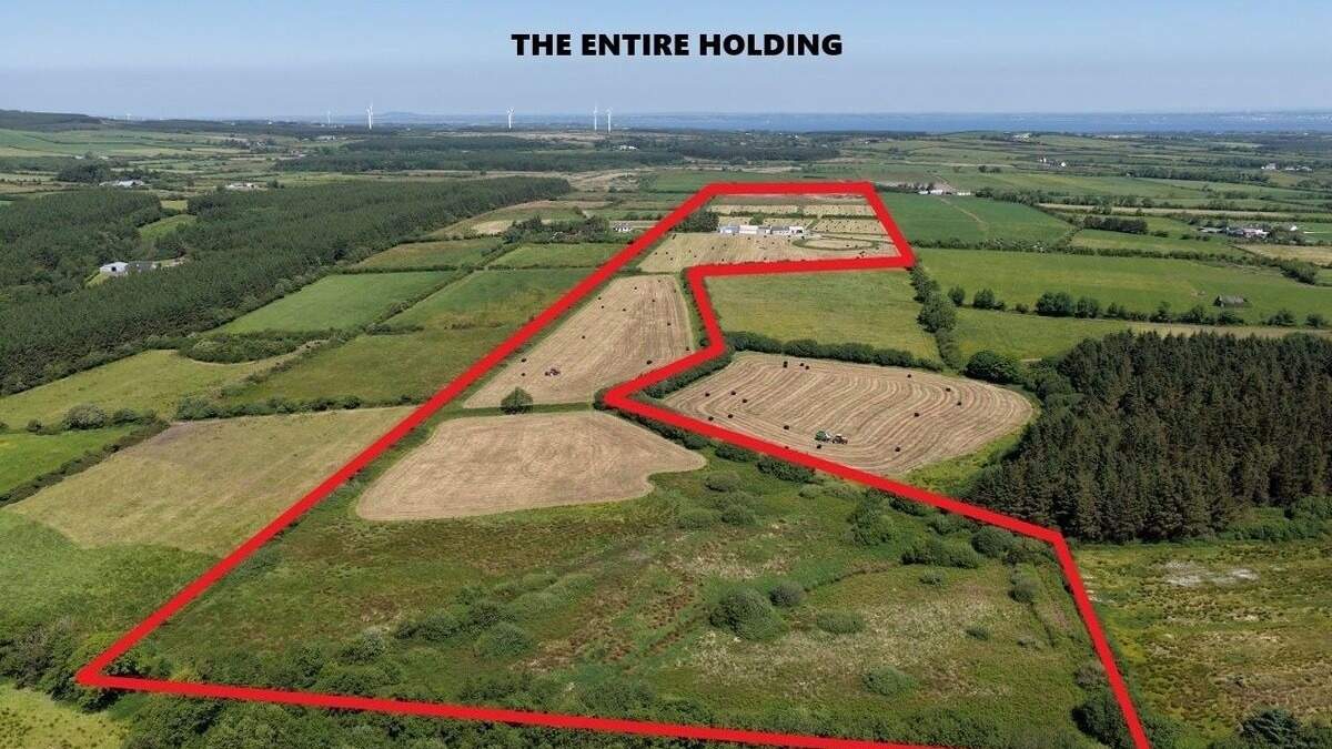 46ac holding in ‘the other Kilgarvan’ guided at €499,000