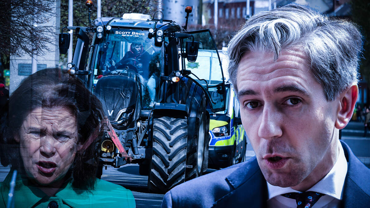 Indo Politics - The Dail returns, for one day only