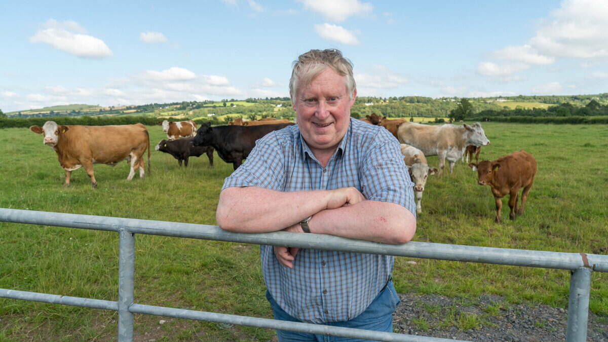 ‘Auctioneering is like refereeing’: how the livestock game has changed in 40 years selling cattle and sheep