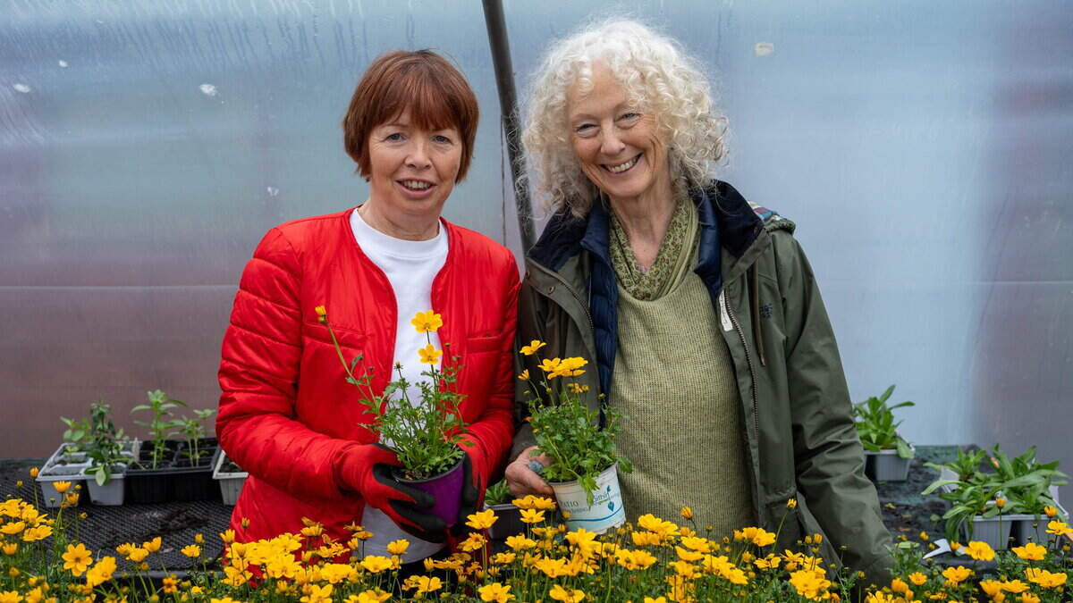 Plant sale funds future growth for Wexford gardeners