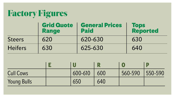 Irish beef prices fall €1/kg in four months as UK imports more ...