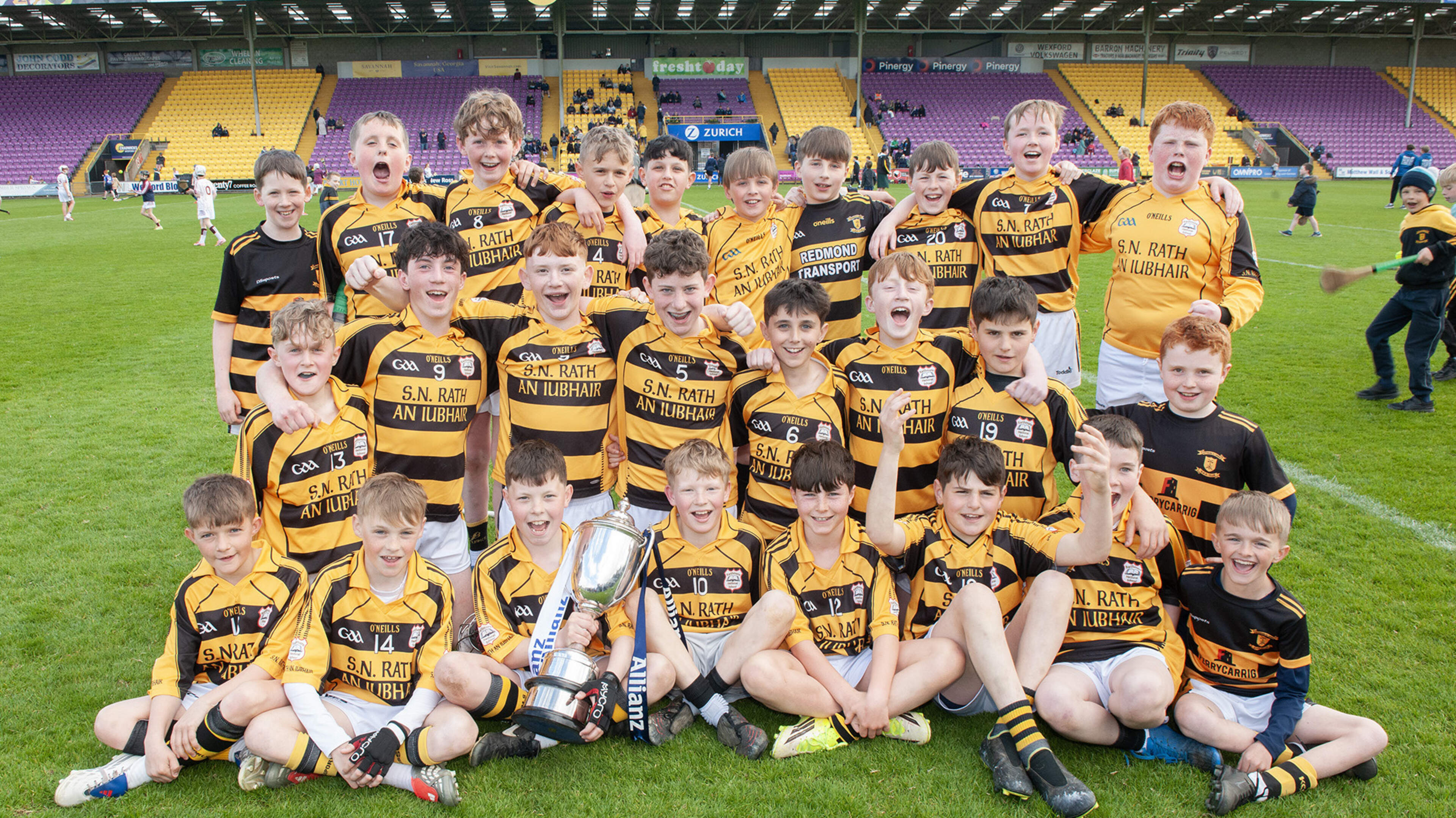 Rathnure bridge 32-year gap as they see off Piercestown to win Rackard League hurling ‘A’ crown