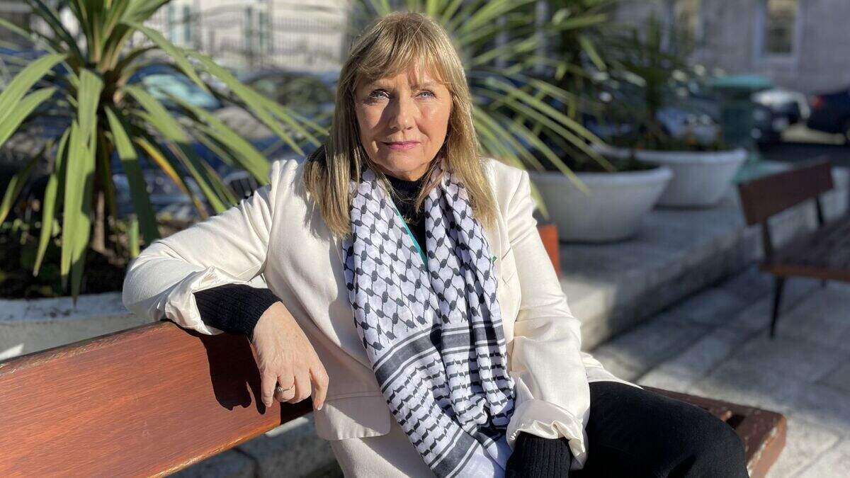 Frances Black rules herself out of presidential run | Irish Independent