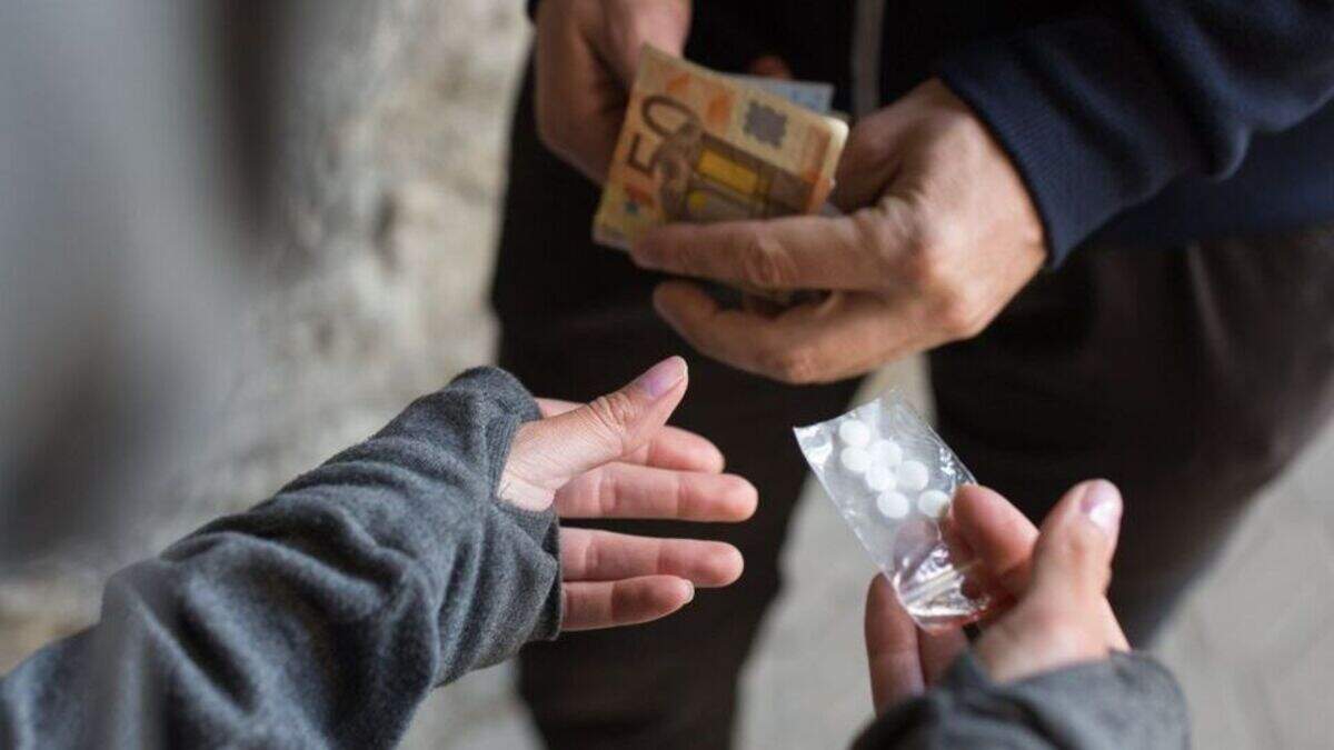 ‘It is a serious, pervasive and insidious crime': garda crackdown on scourge of drug-debt intimidation