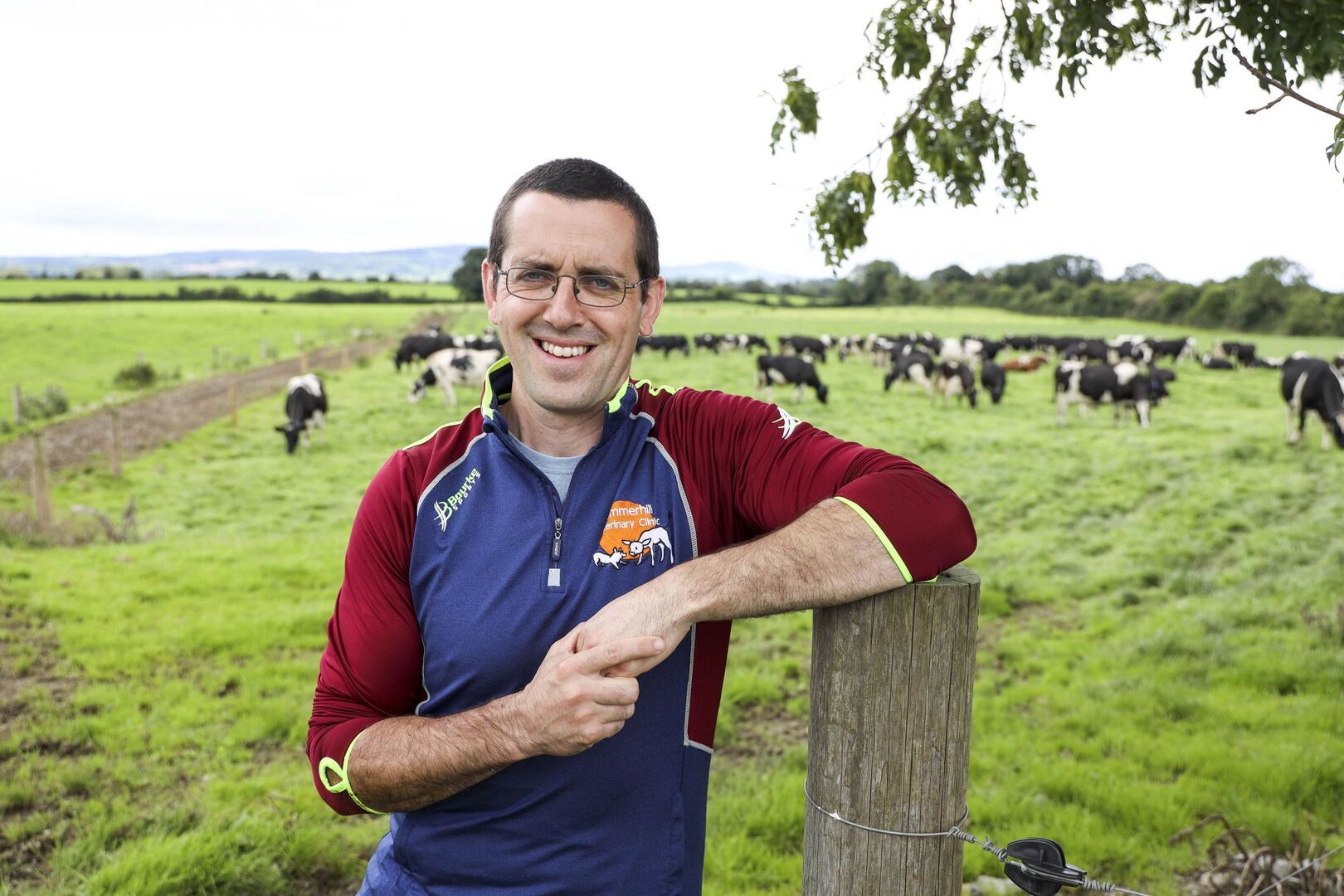 Summer scour syndrome: more than one problem, more than one fix | Irish ...