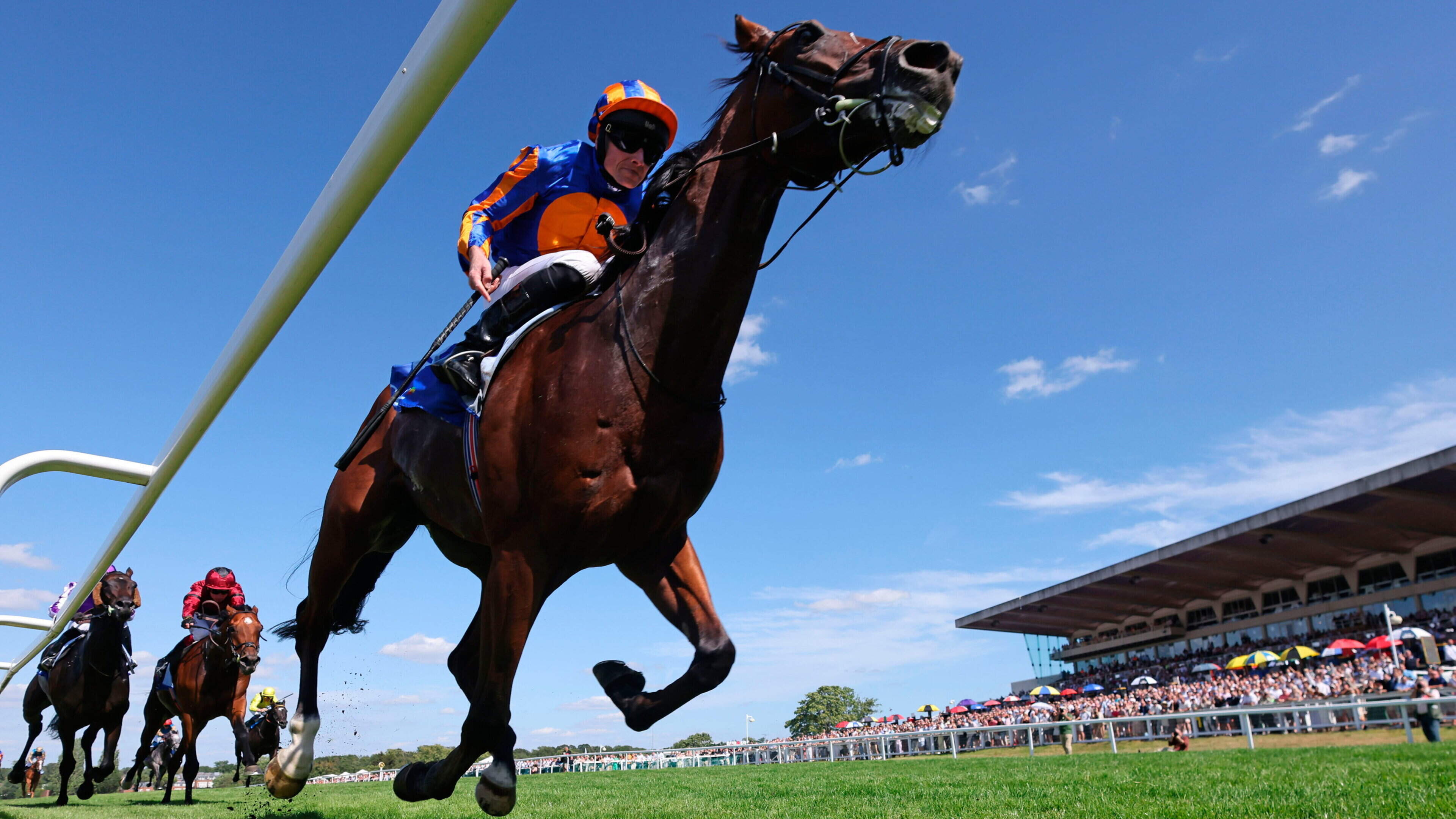 Aidan O’Brien ‘over the moon’ as Constitution River strolls to Eclipse victory at Sandown