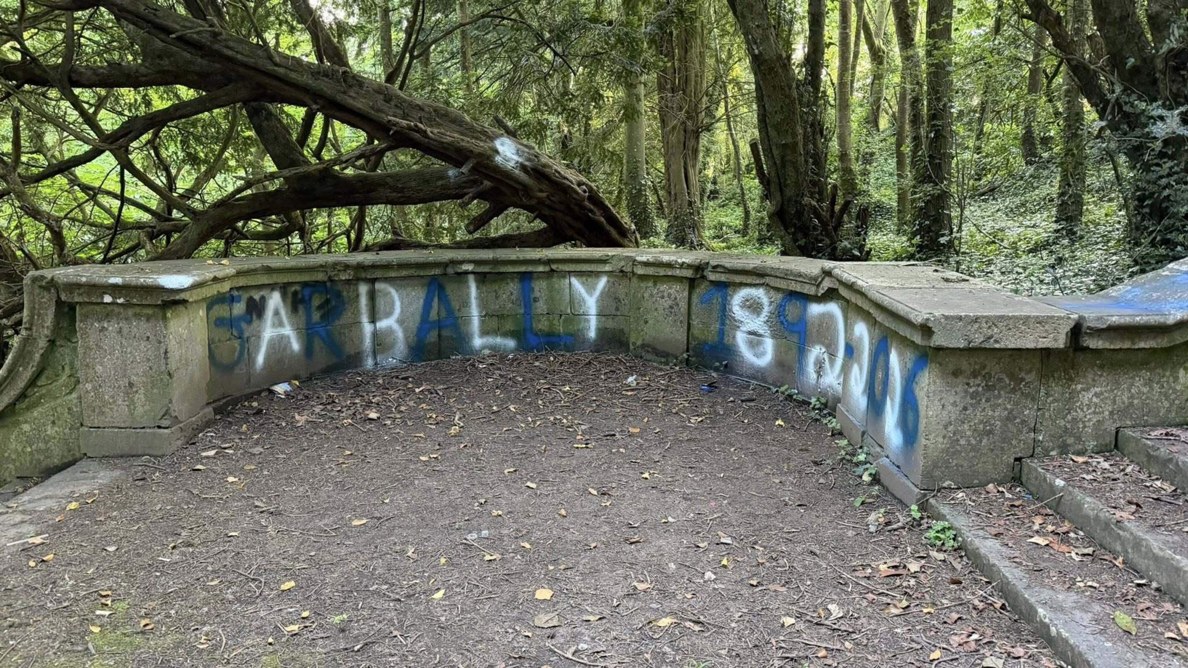 Galway town landmark defaced with graffiti appearing to protest school name change