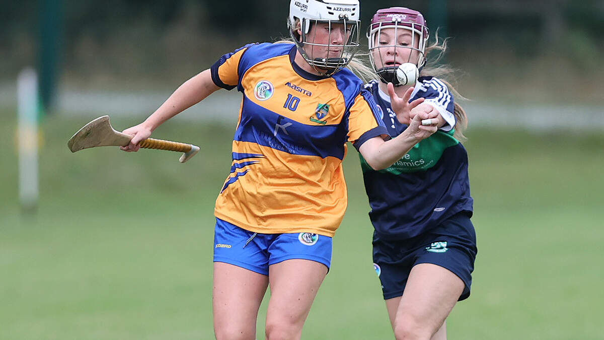 Late scoring blitz sees Annacurra sink Bray Emmets in camogie thriller