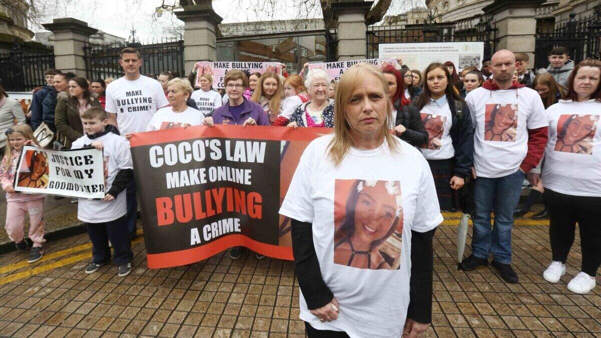 'Coco's law' will help stamp out the menace of online bullying | Irish ...