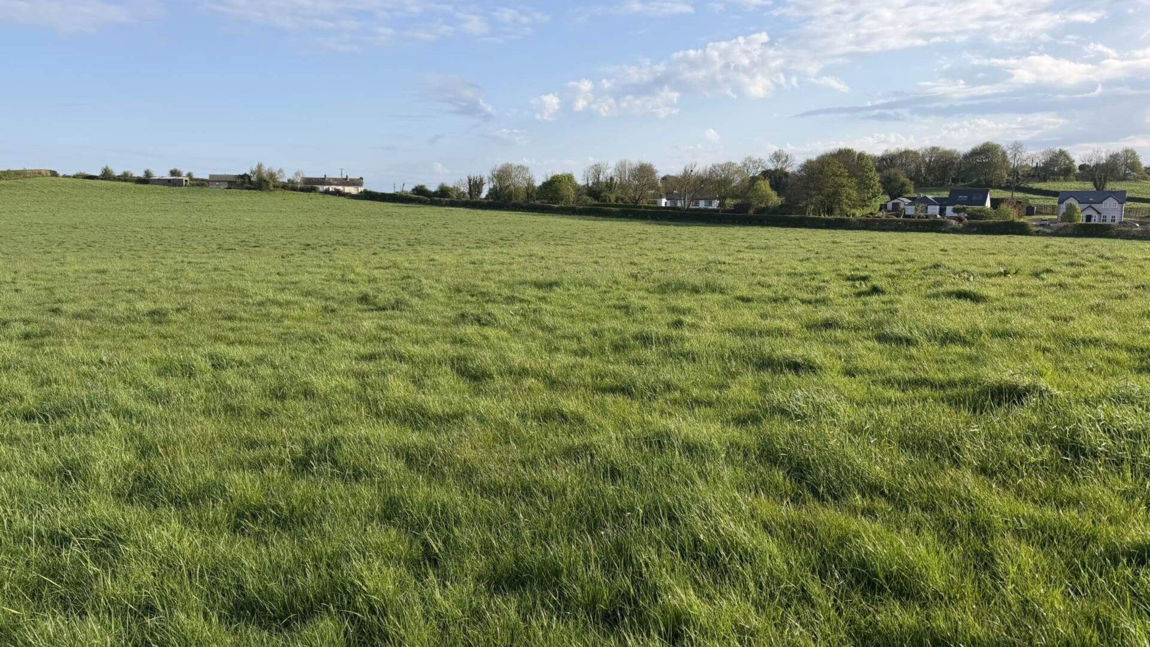 102ac Limerick grass farm with river frontage for €1.35m