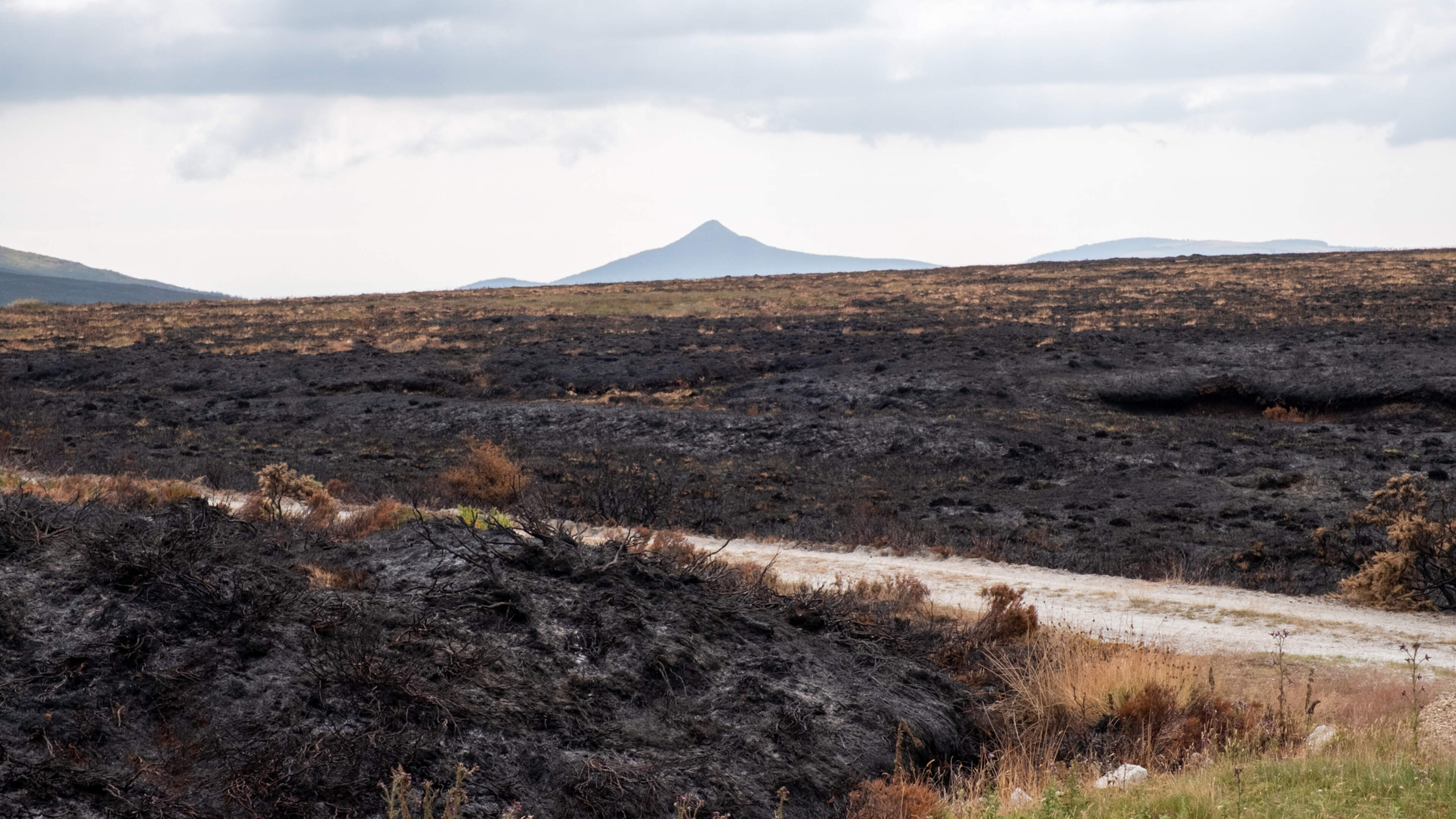 Wicklow Mountains National Park rangers on high alert as peatland smoulders after extensive wildfire