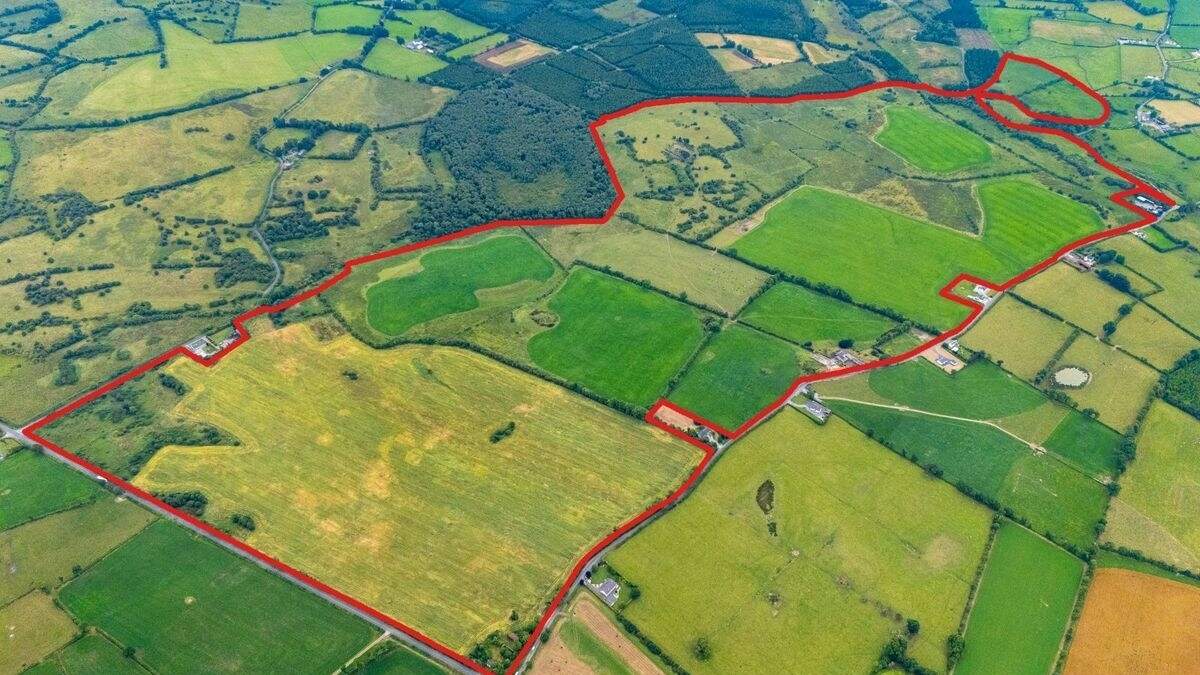 €4m sought for 341ac Westmeath estate with two farmhouses