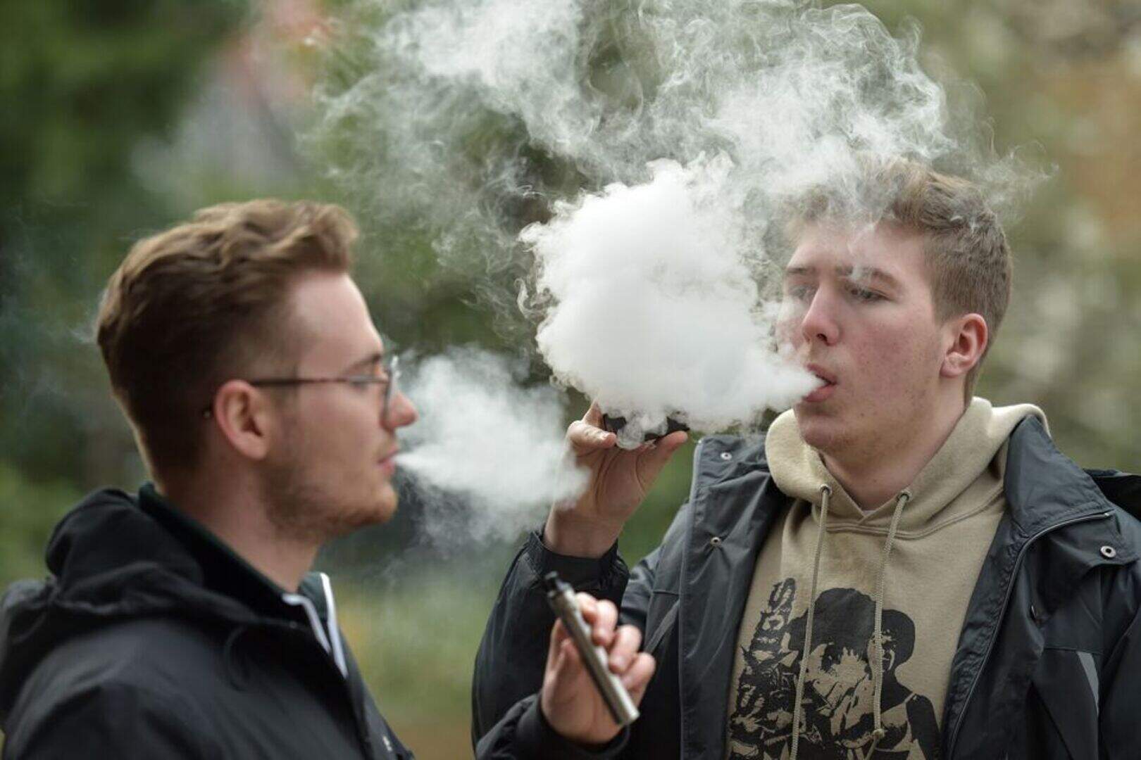 are flavor beast vapes good Are Flavor Beast Vapes Good Flavor Beast XBM50 Disposable