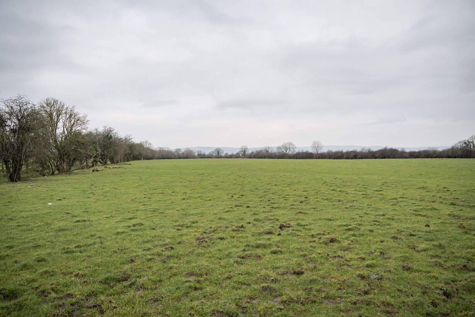 Meet the award-winning Limerick farmer bringing the goat sector to the ...