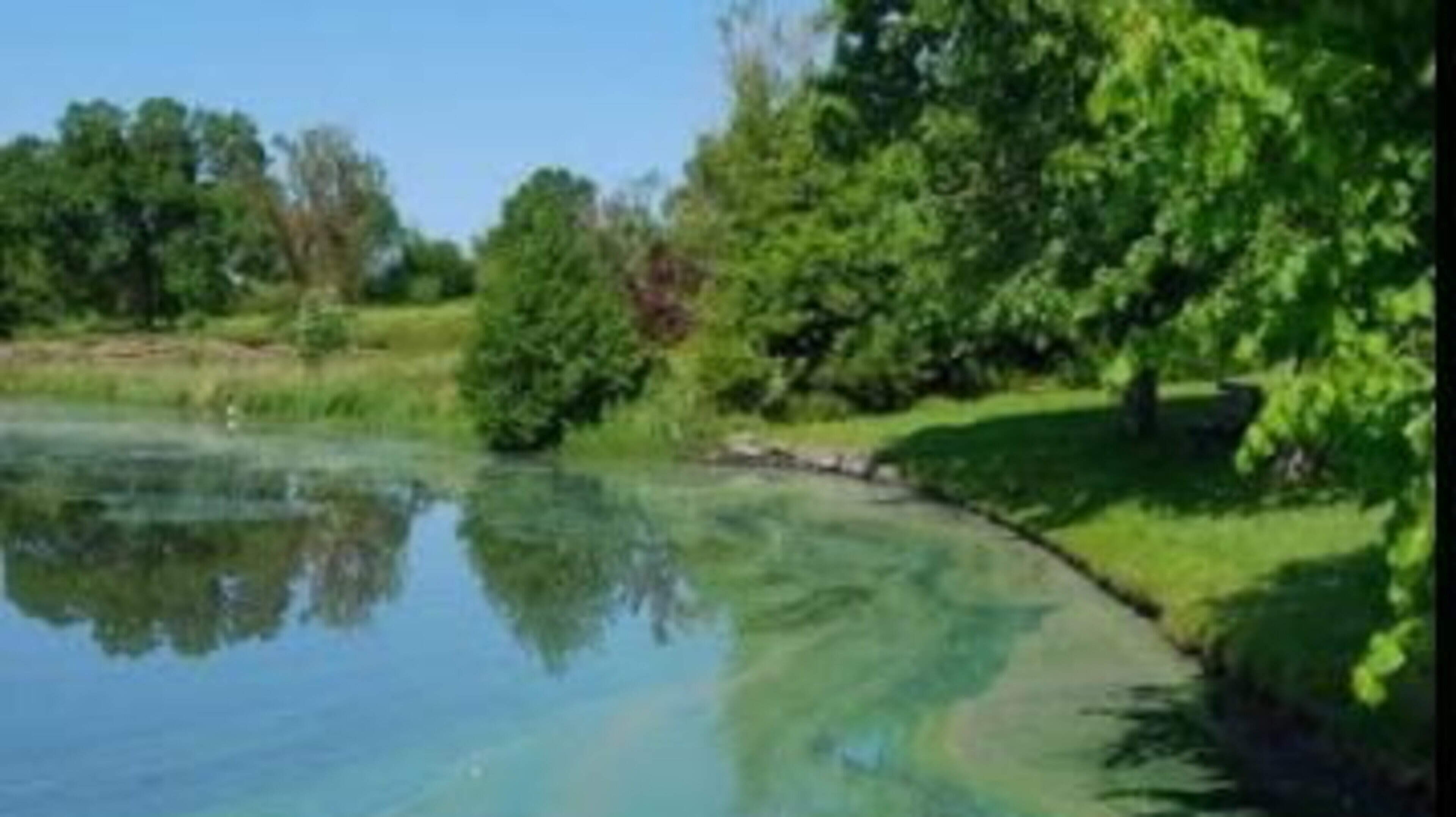 Swimming restrictions placed on Leitrim lough due to elevate