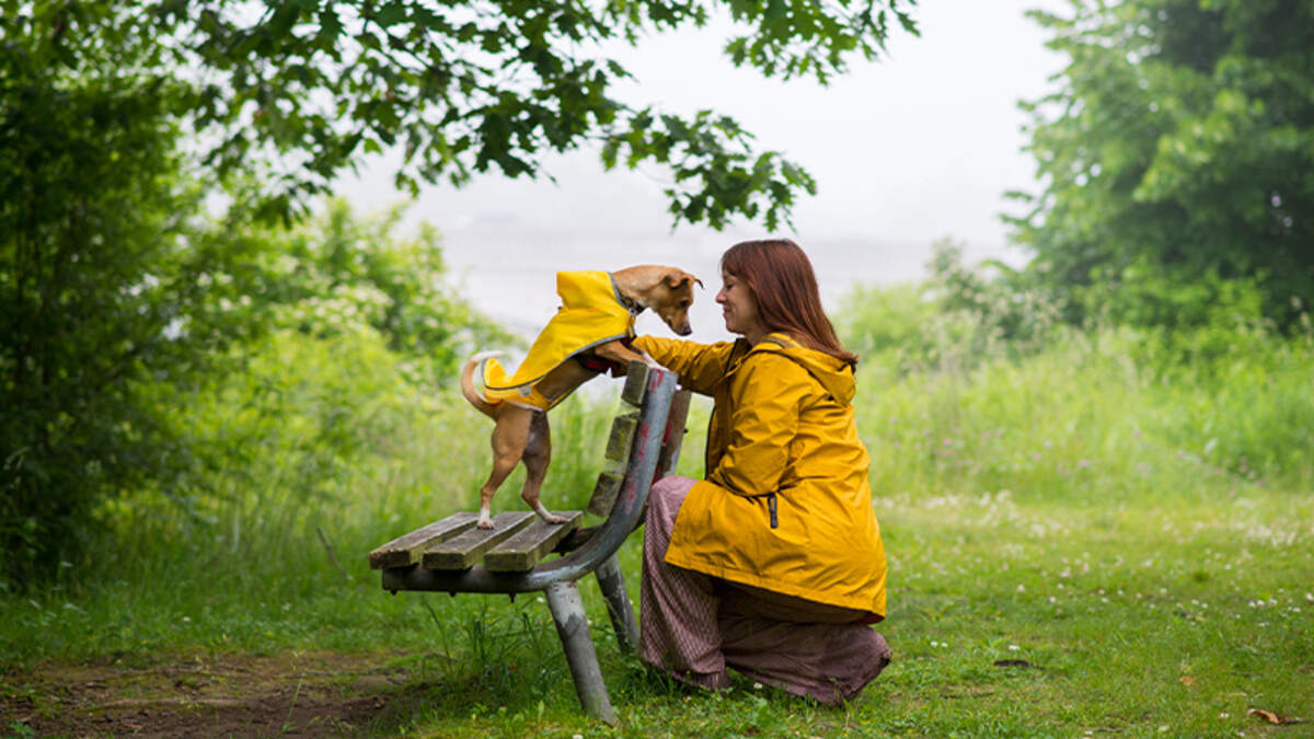 ‘Pleasant day' forecast but Met Éireann has ‘mixed outlook' for the week ahead