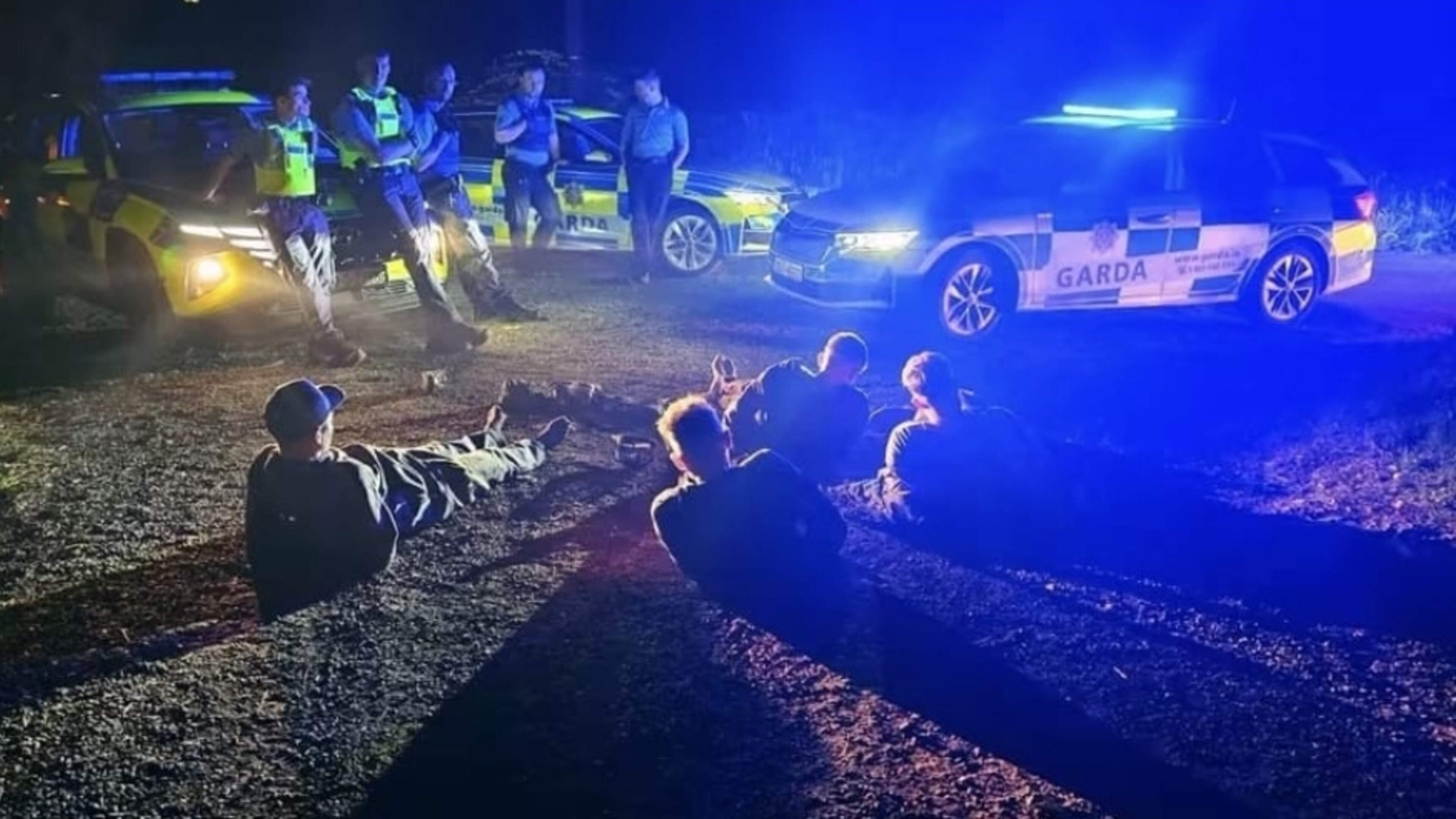 Four balaclava-clad men arrested after major Garda operation in Wicklow