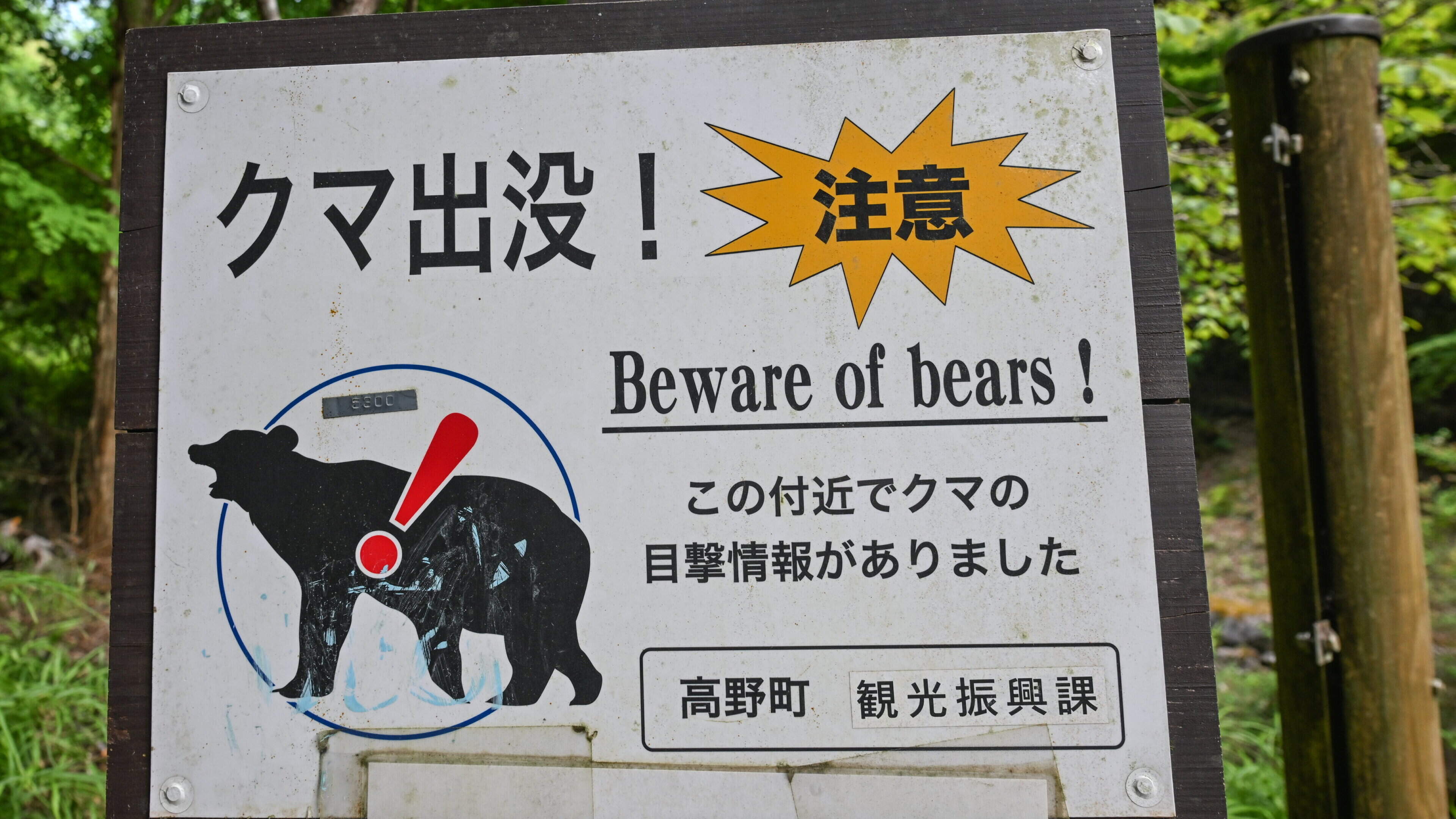 How Japan is deploying latest technology to prevent bear attacks