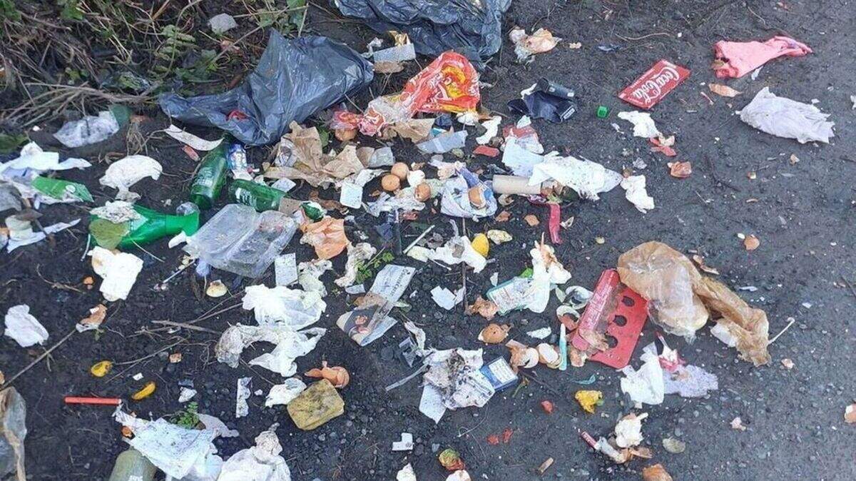 Nearly 300 fly-tipping complaints investigated in County Cork