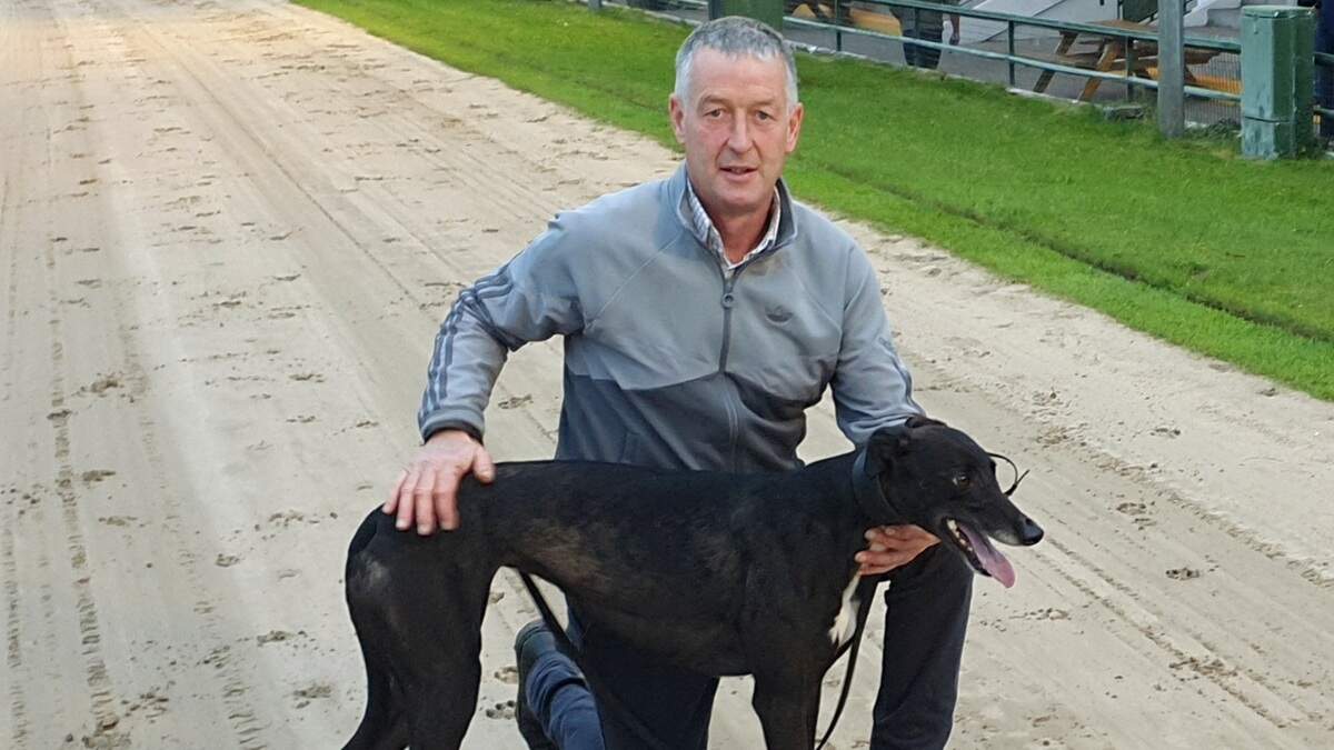 Three Hannafin Cup semi-finalists at Tralee track break 29 seconds