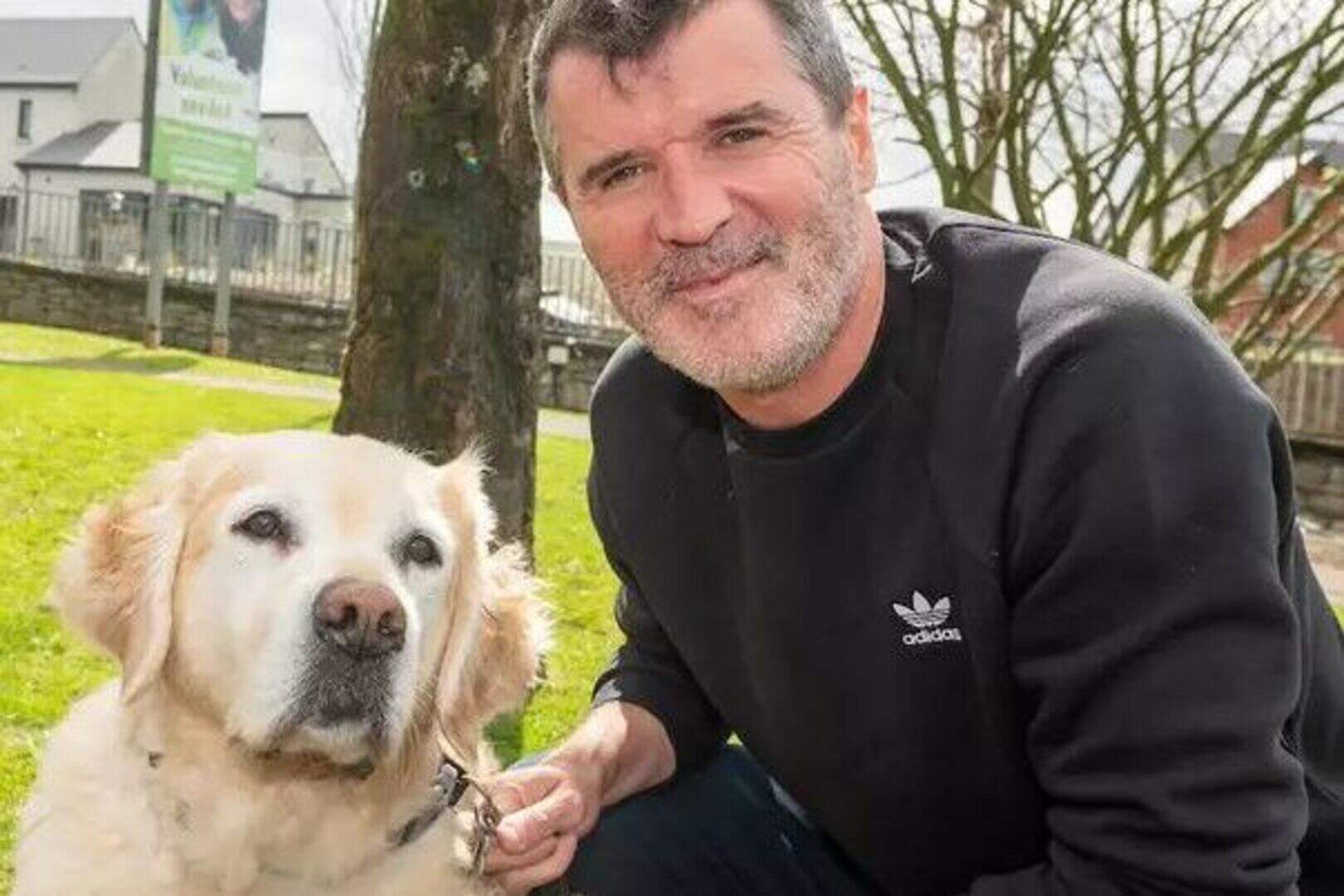 Co Wexford school holding charity walk for the Irish Guide Dogs ...