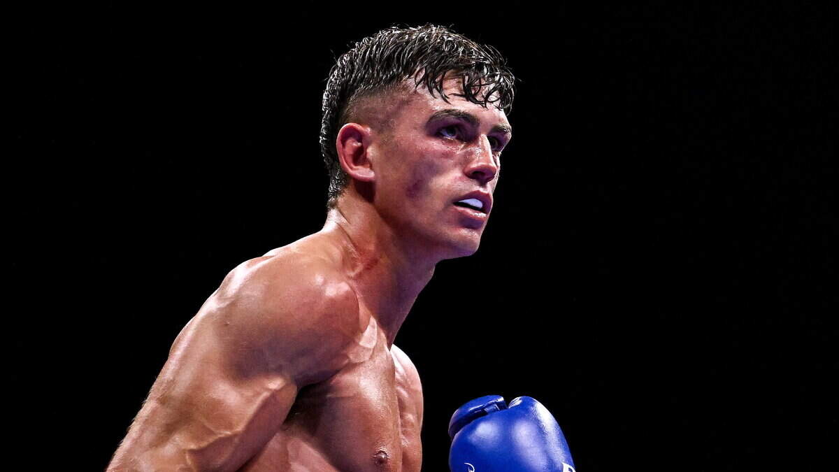 Lee Reeves’ family shares hopeful update as Limerick boxer shows signs of ...