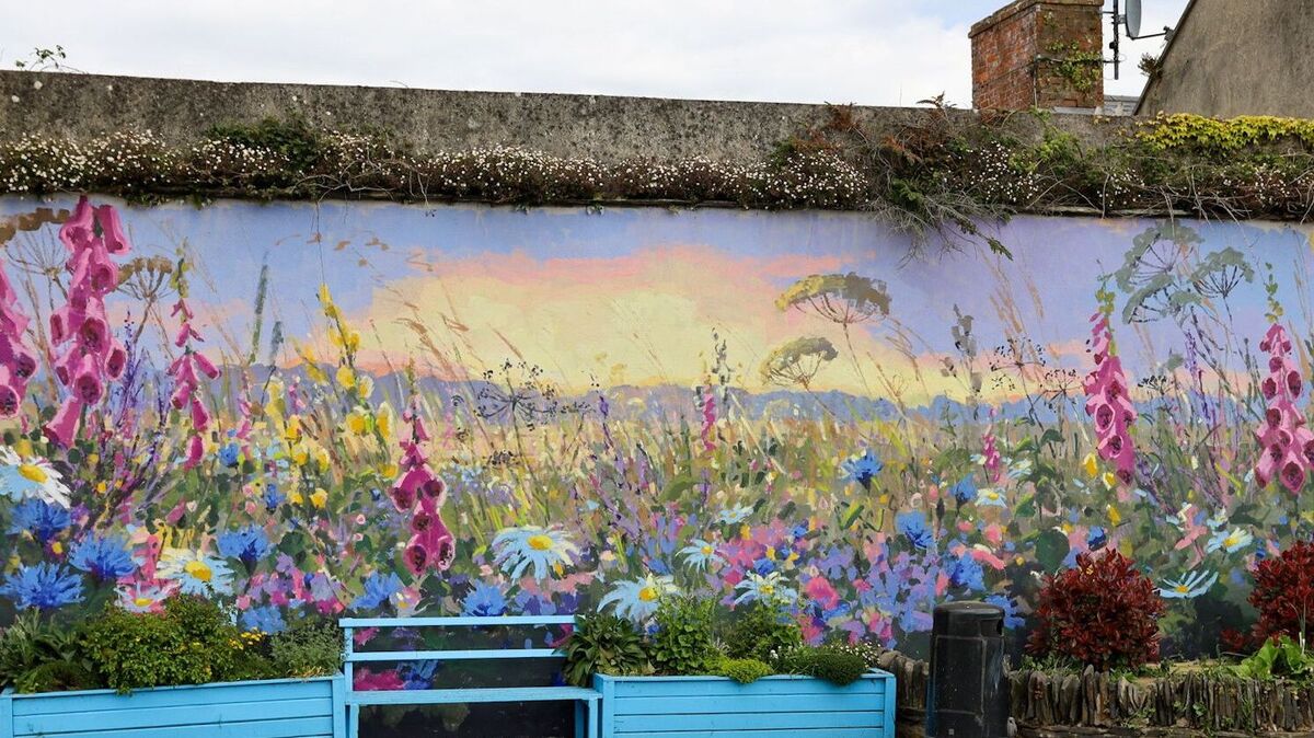New mural painted by Wexford artist is unveiled in rural village – ‘It ...