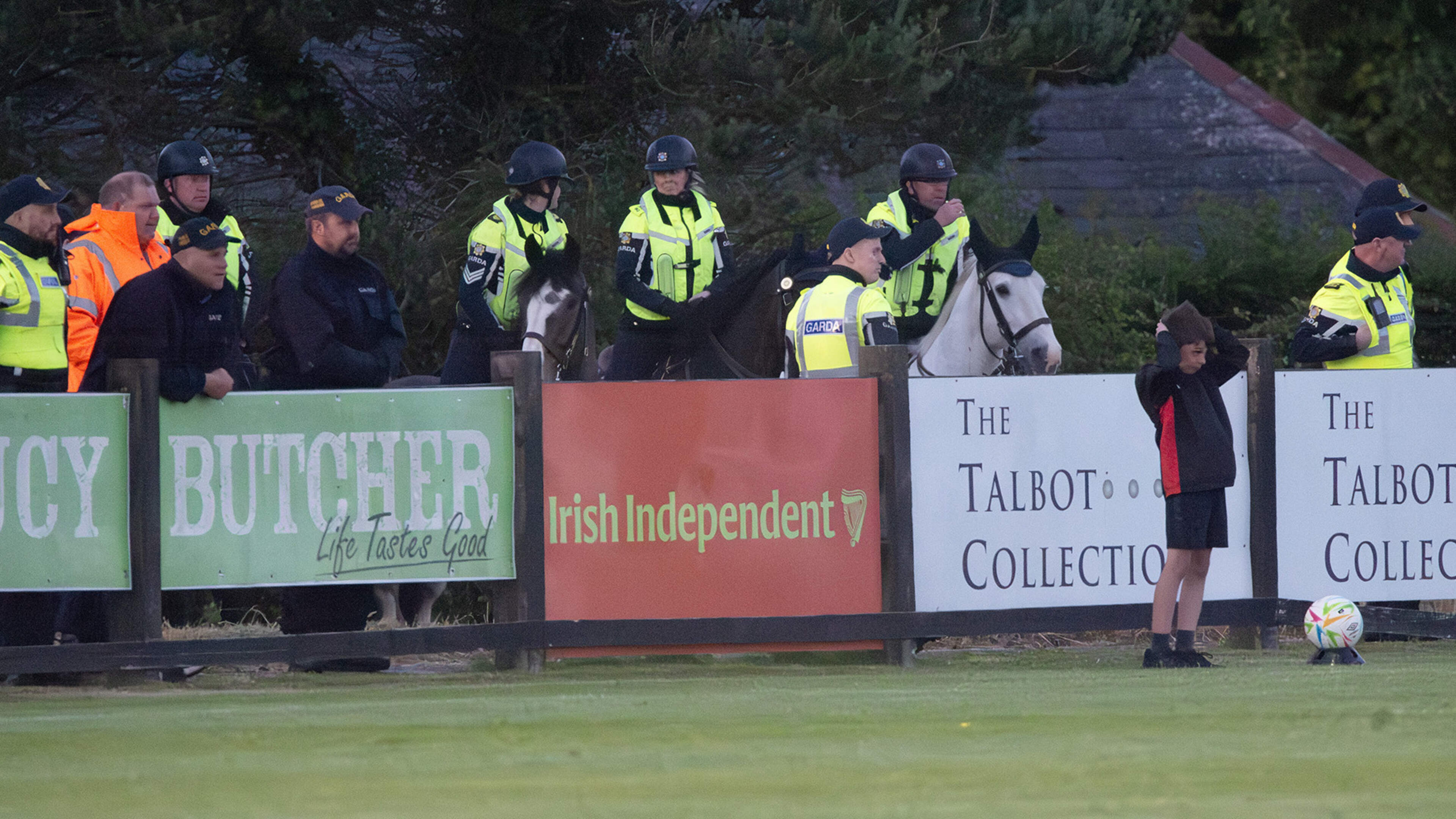 Gardaí deploy mounted unit to Wexford FC game amid fears of crowd trouble from visiting fans