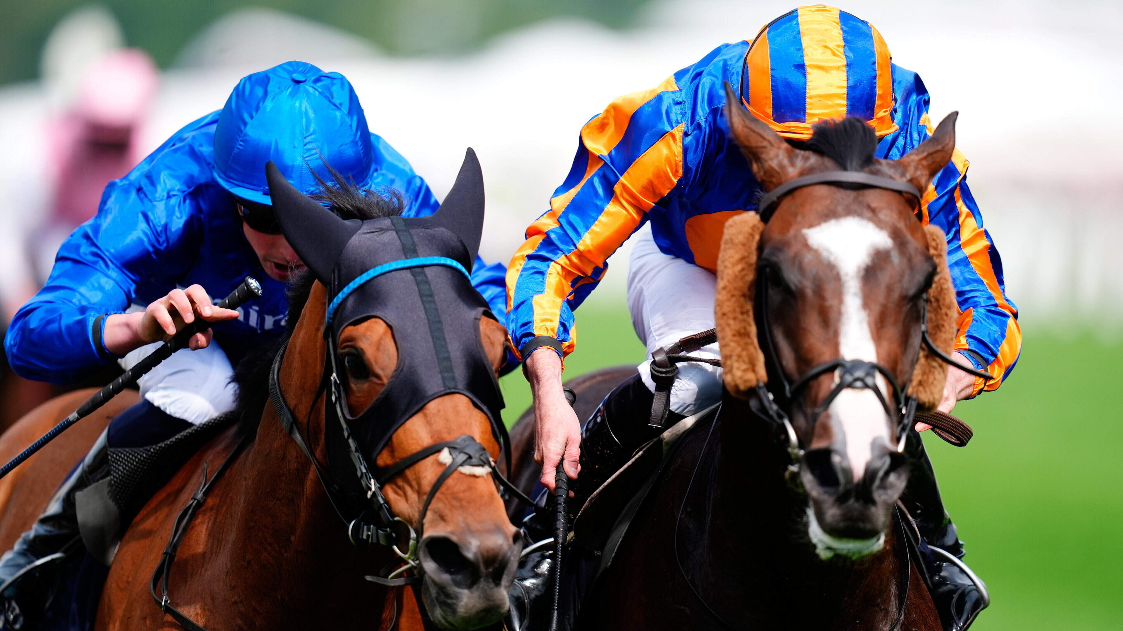 Aidan O'Brien claims his 100th Ascot winner as Ryan Moore rides Scandinavia to victory in Gold Cup