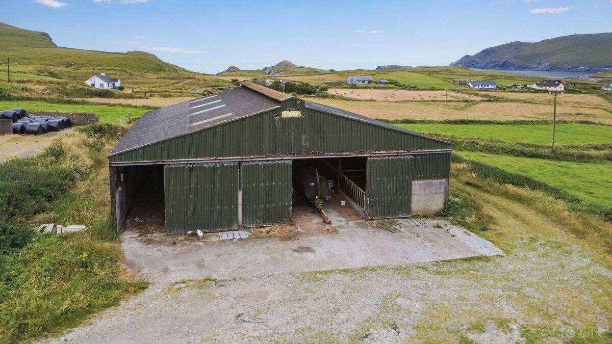 29ac Kerry farm with shoreline frontage hits market at €430,000