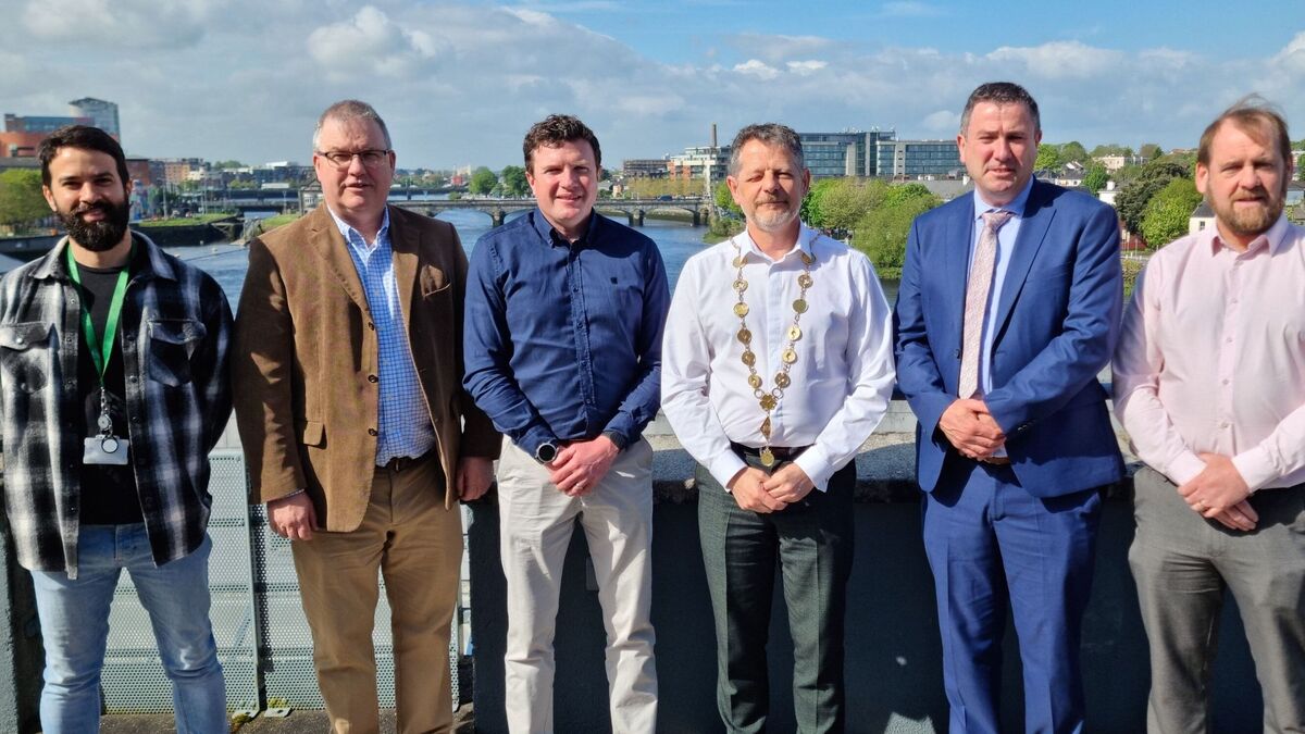 Relief for Limerick housing crisis as new 24-home development gets ...