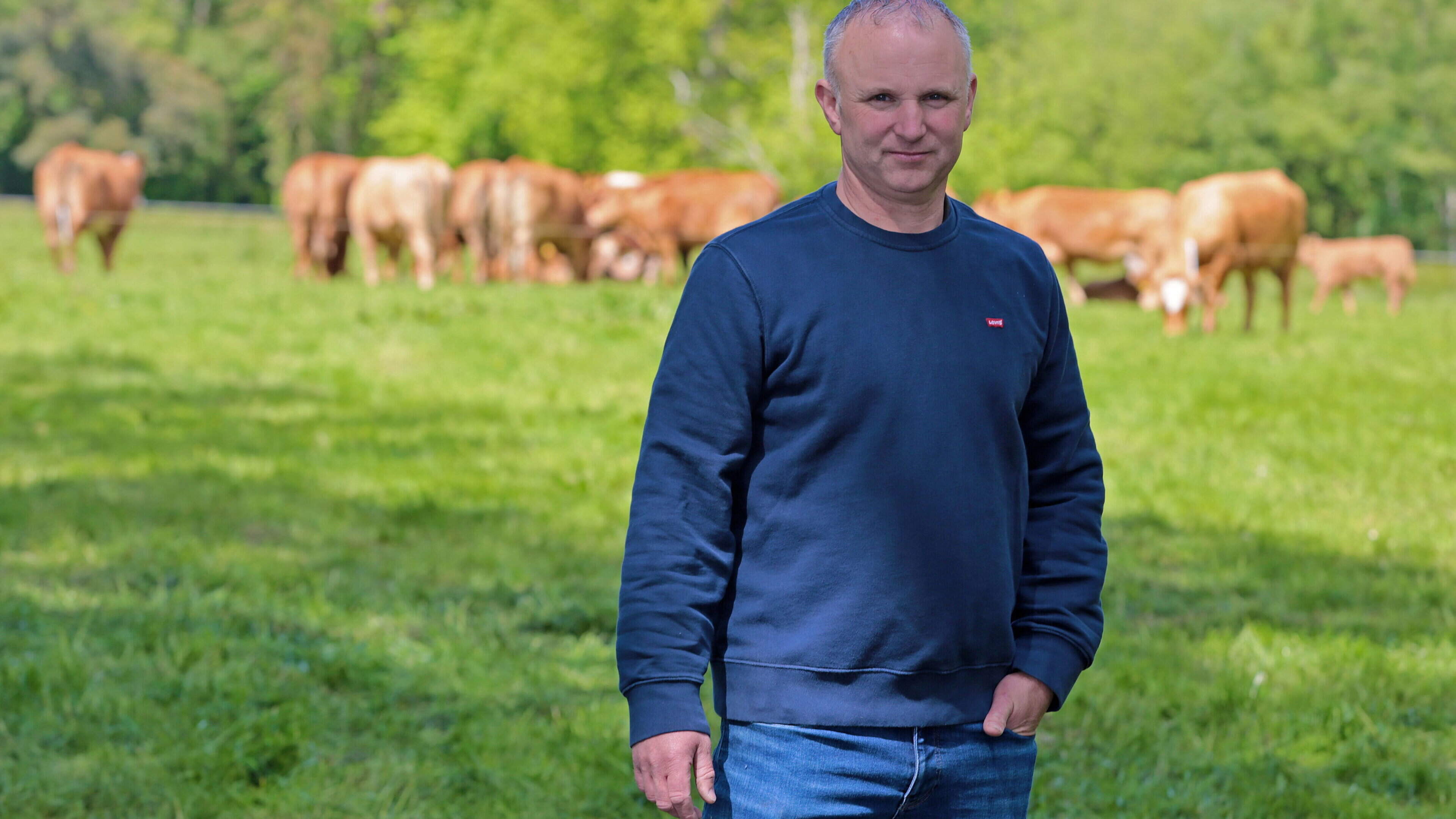 How this Longford 90-cow suckler farm is consistently producing U grade cattle