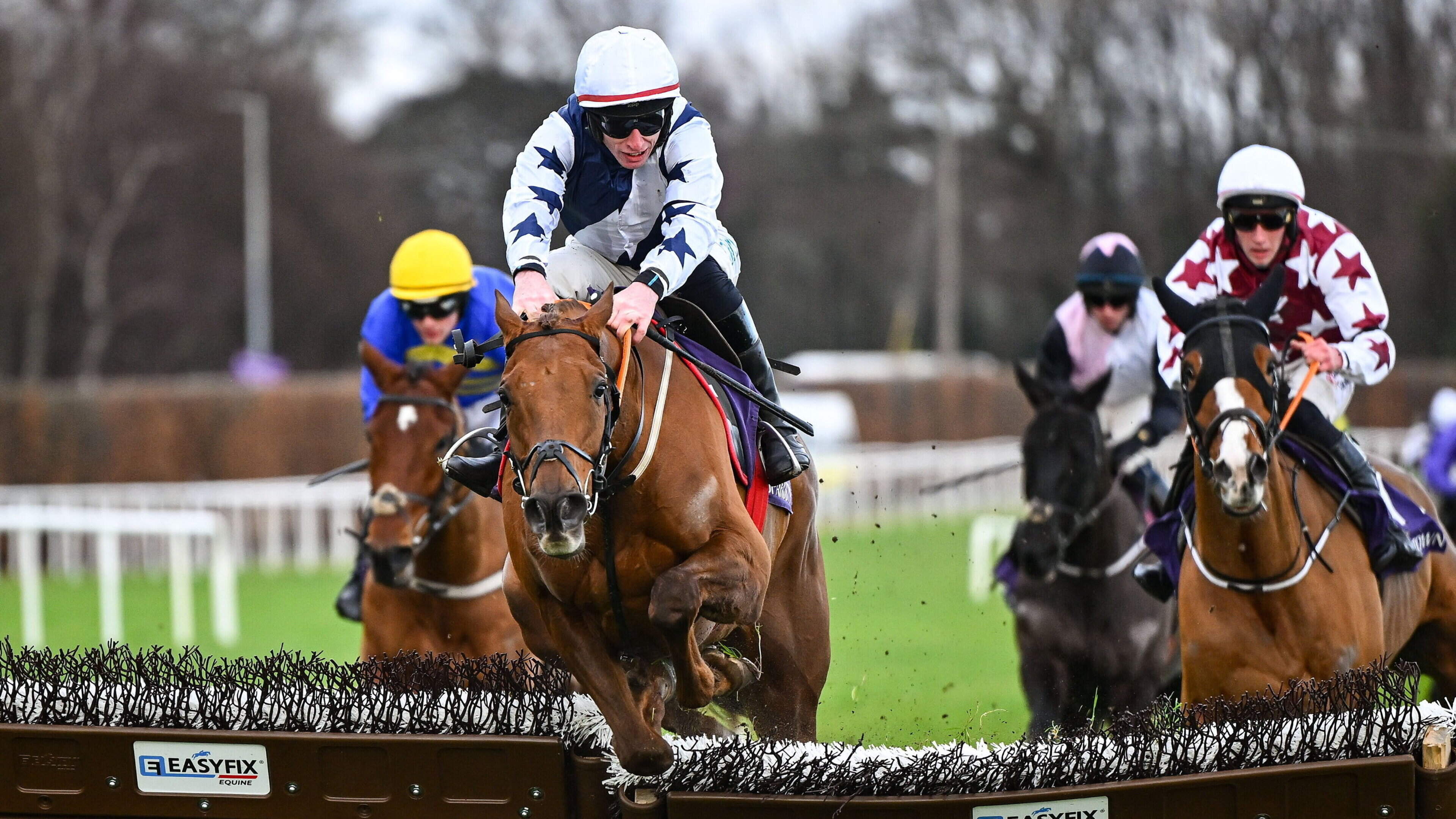 ‘He’s the type of horse that could suit a Galway Hurdle’ - Gordon Elliott confident El Cairos can realise potential