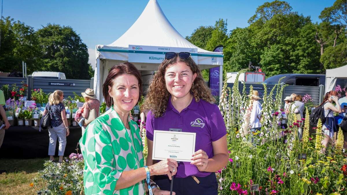 Gold medal for Wexford plant nursery at Bord Bia Bloom Festival - 'We're really delighted'