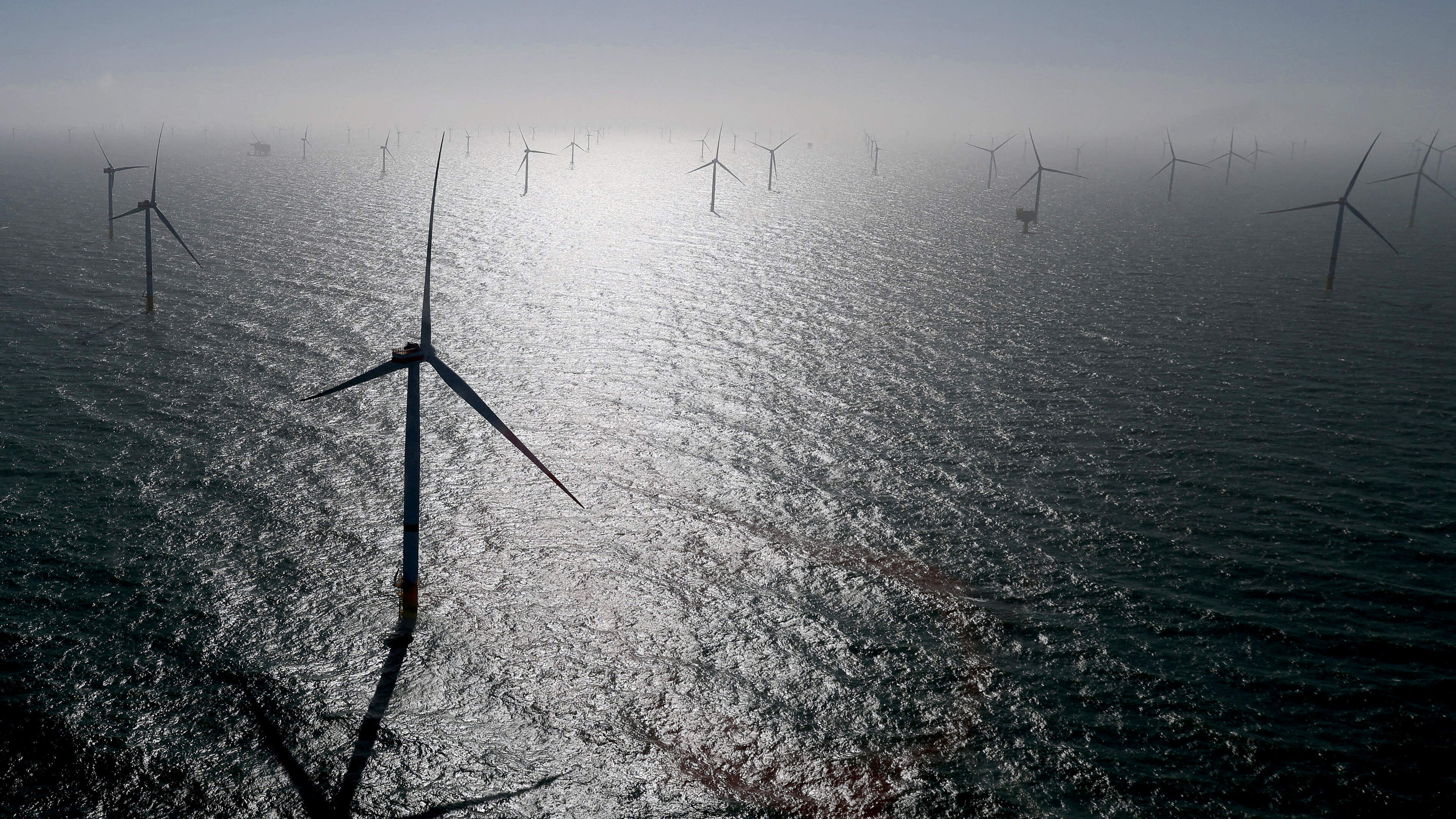 Trump administration pays German firm $1.2bn to kill US wind energy project 