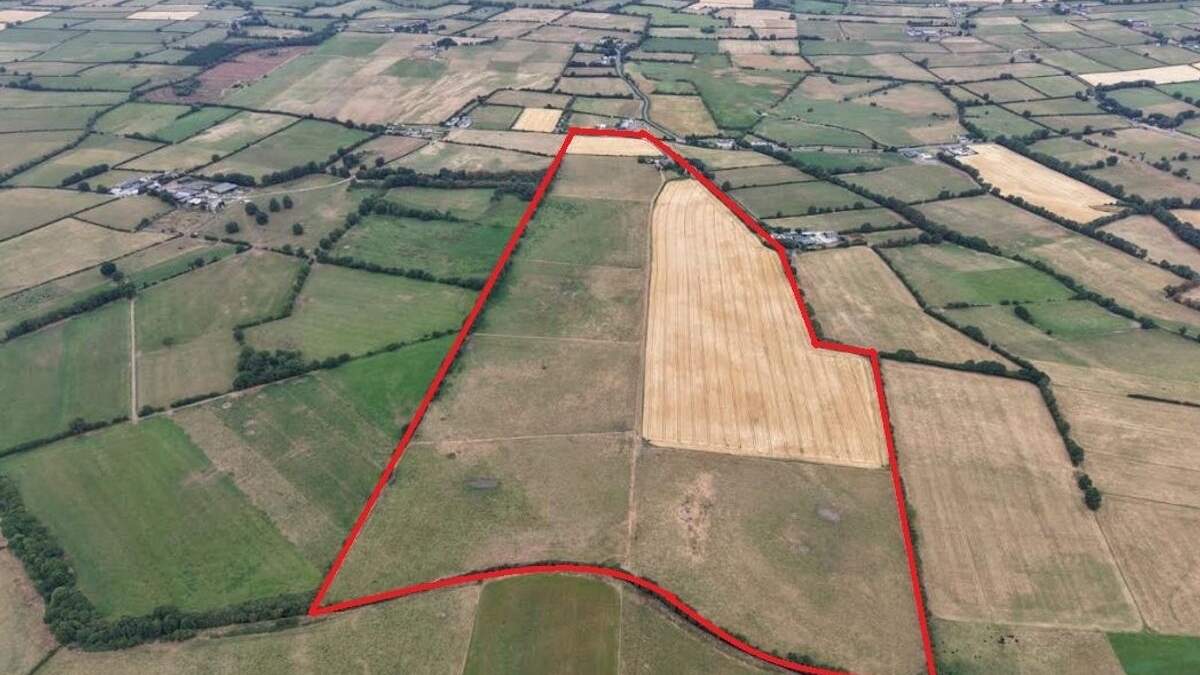 ‘As soon as I put  the ‘For Sale’ signs up I had an offer of €15,000/ac’ – hot interest in Kilkenny farm